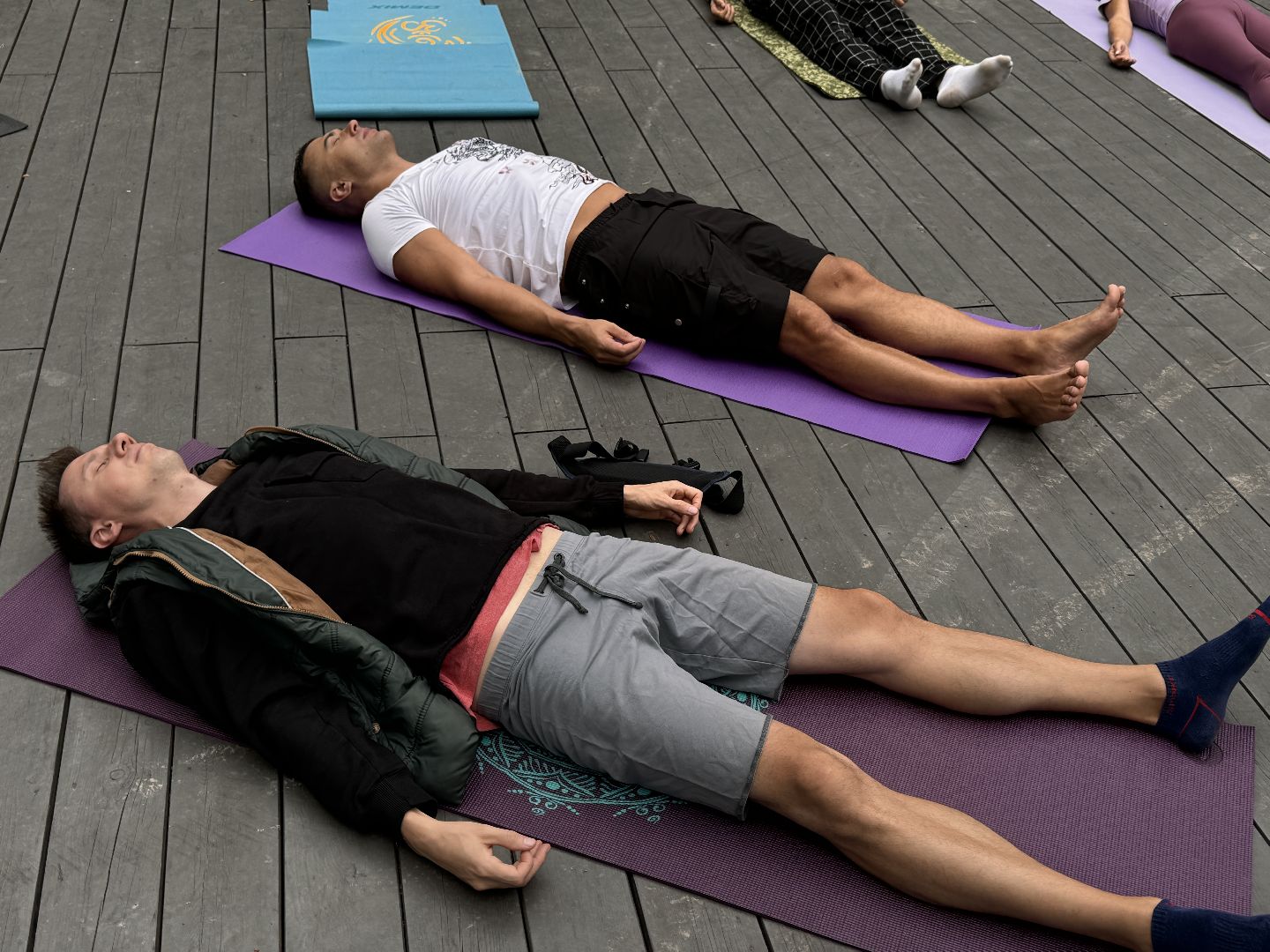 Фестиваль йоги, Парк Раздолье, Гвоздестояние,