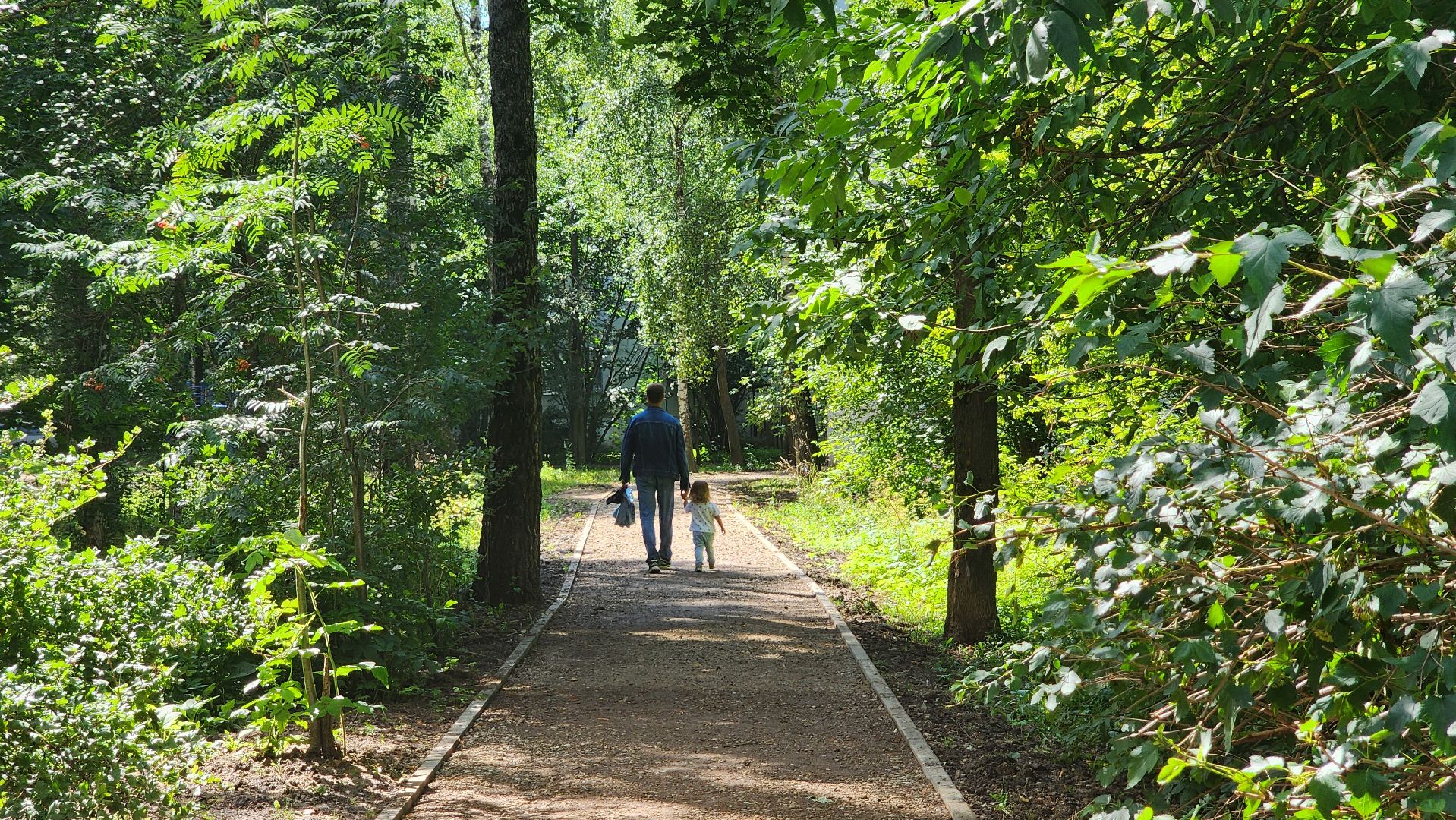 Солнечногорск, Благоустройство, дворы, формирование комфортной городской среды,