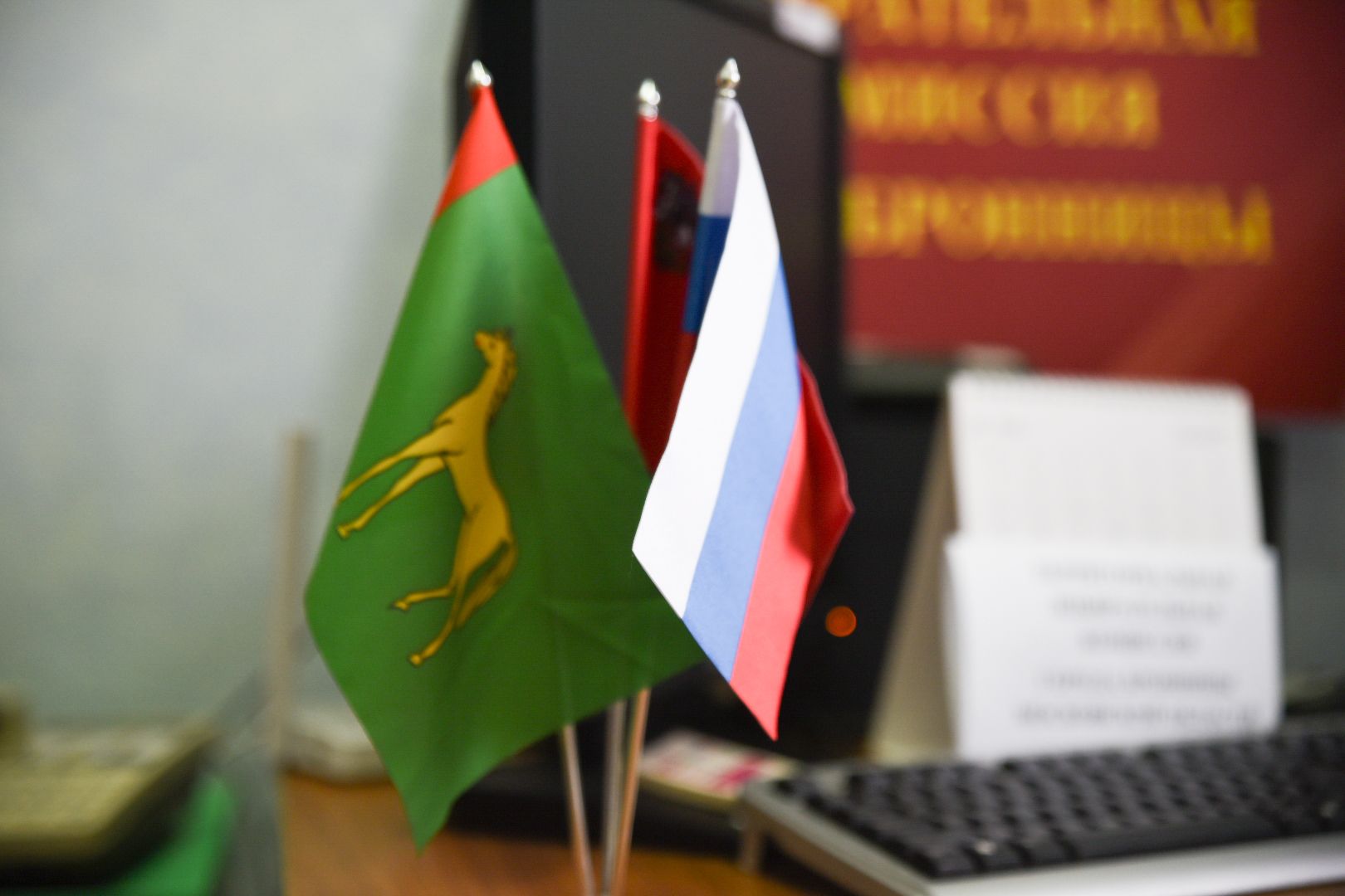 Бронницы, Выборы в Совет депутатов 2024, Подготовка к выборам депутатов, Работа ТИК,