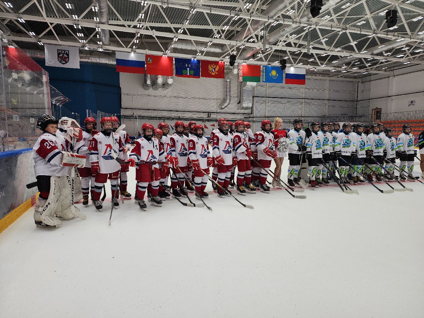 красногорск, овечкин, хоккей, турнир,