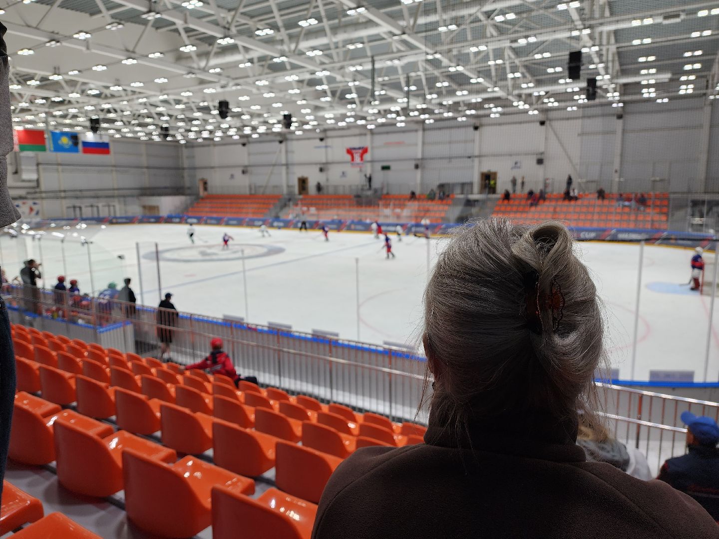 красногорск, овечкин, хоккей, турнир,