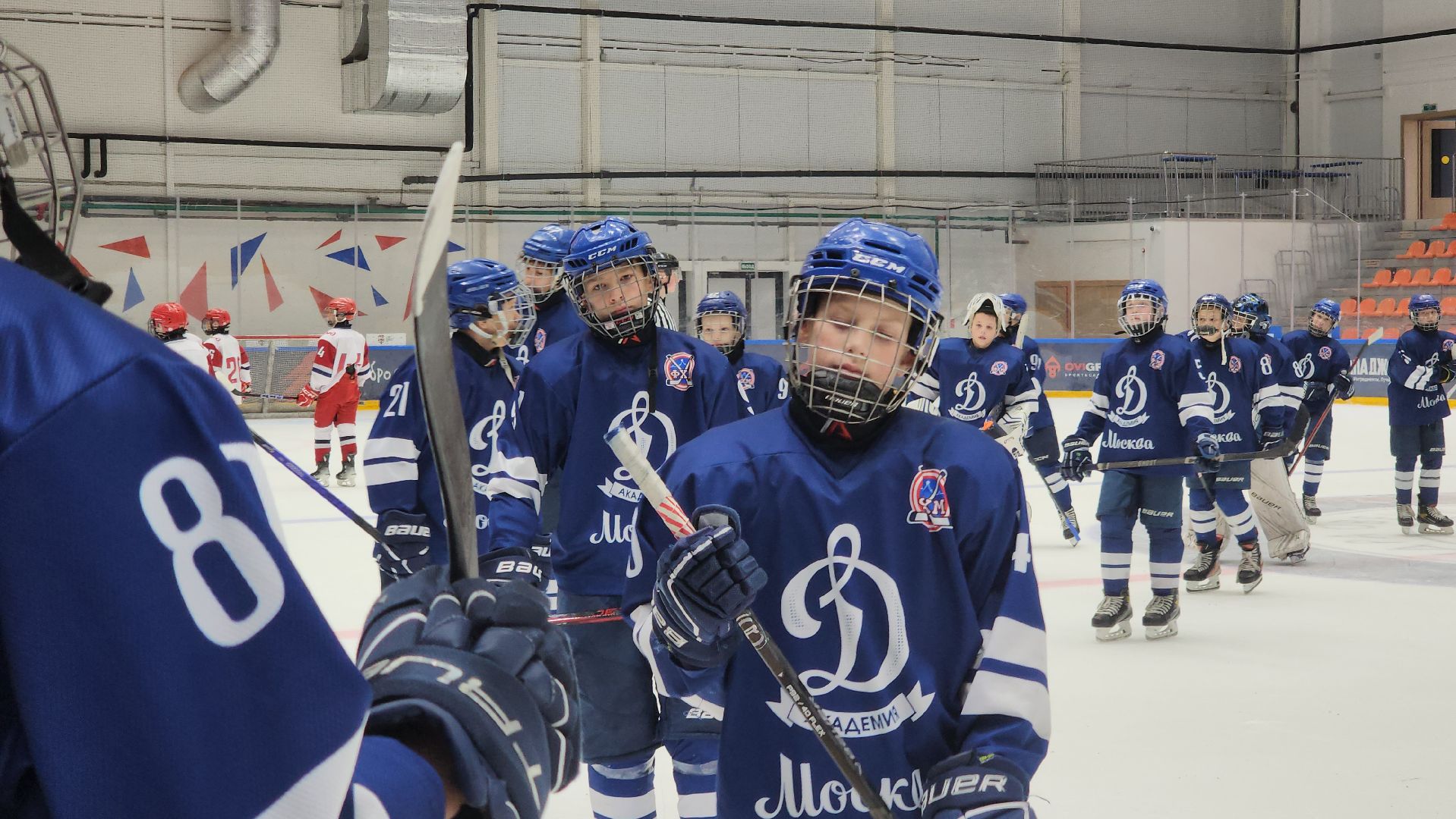 красногорск, овечкин, хоккей, турнир,