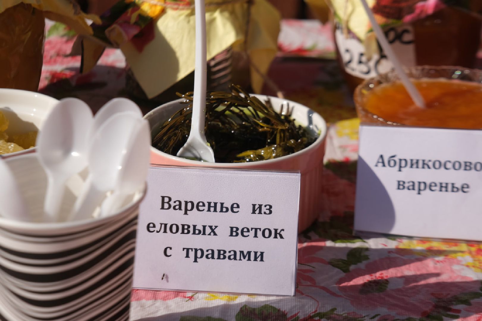 серпухов, день деревни, праздник,