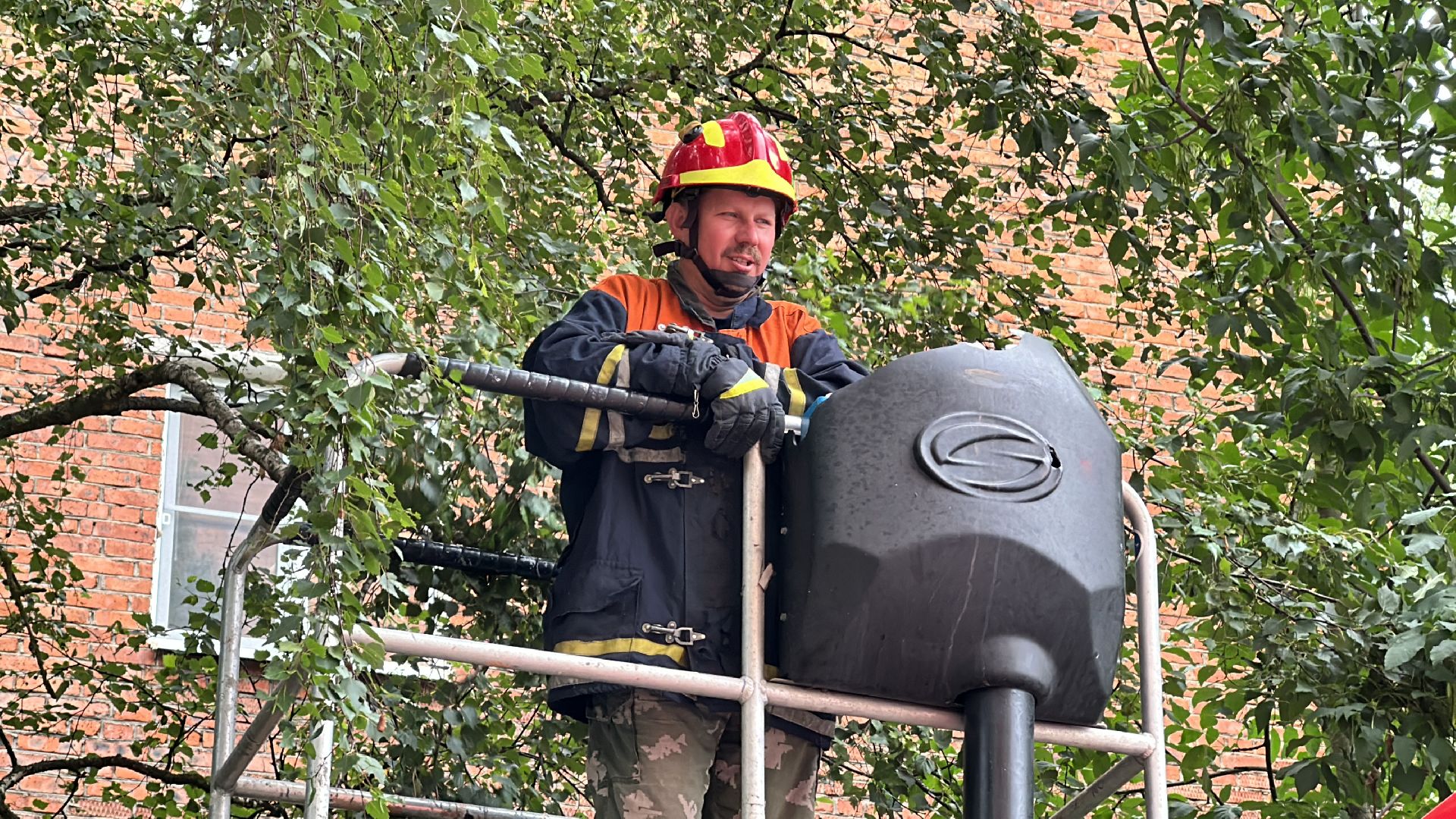 Клин, общество, животные, помощь, спасатели,