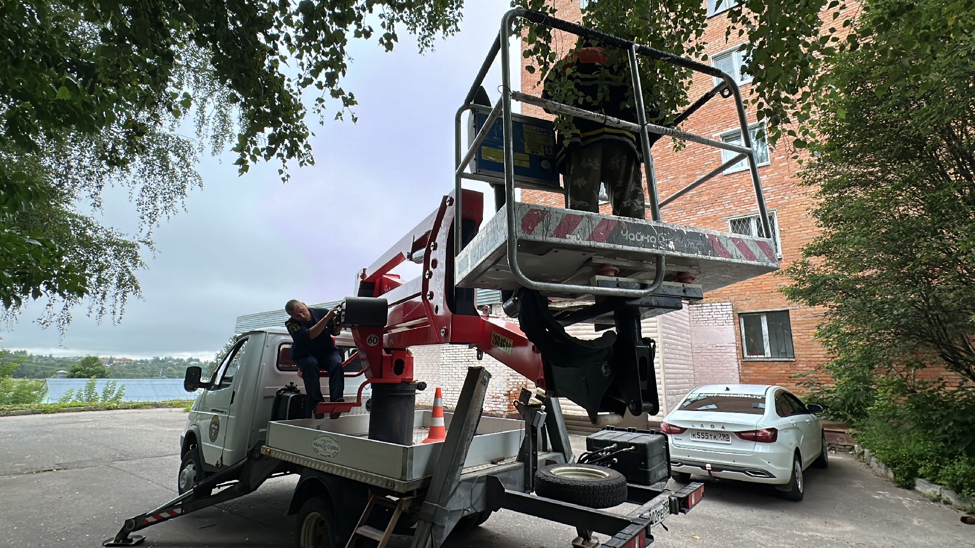 Клин, общество, животные, помощь, спасатели,