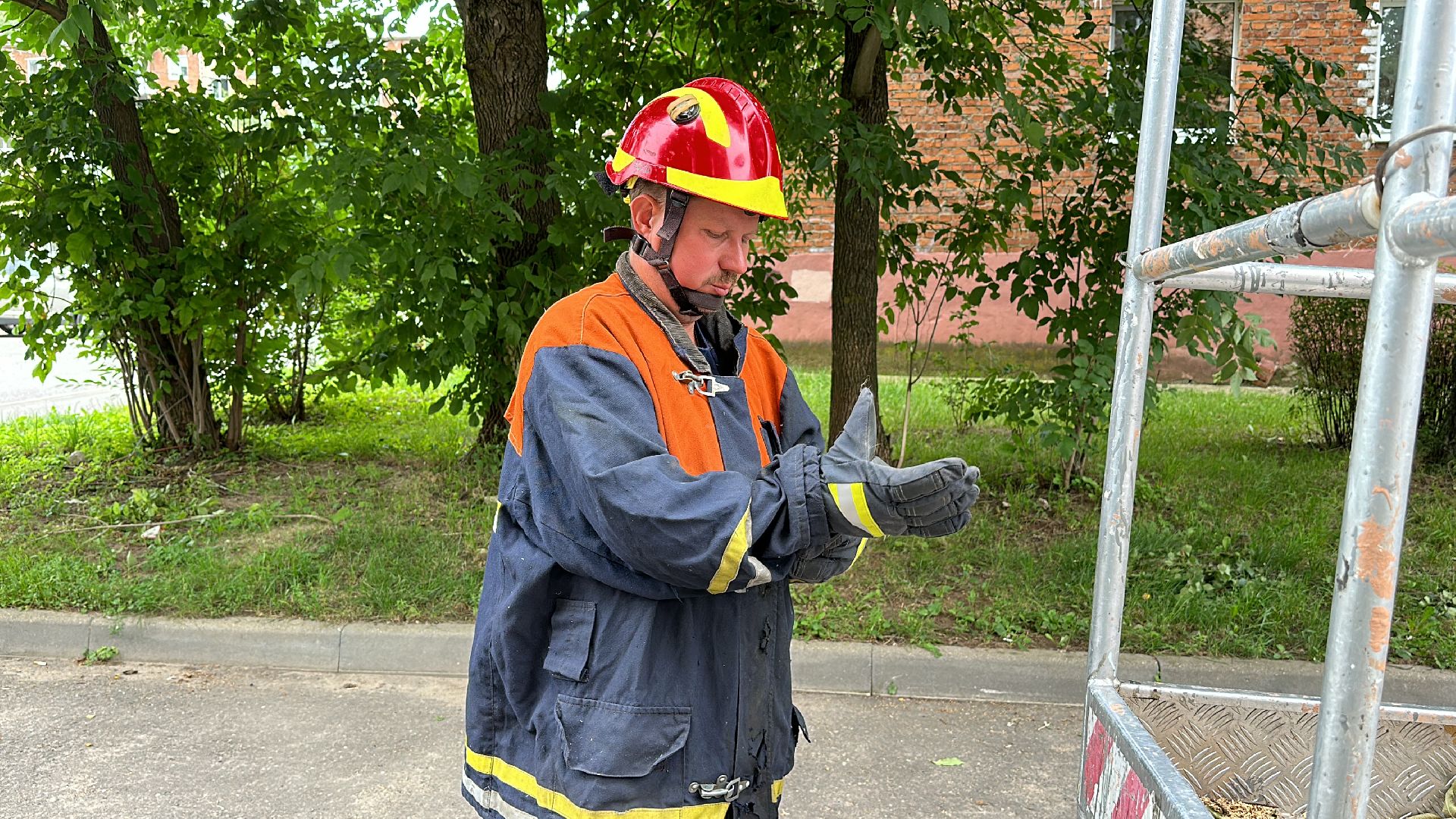 Клин, общество, животные, помощь, спасатели,