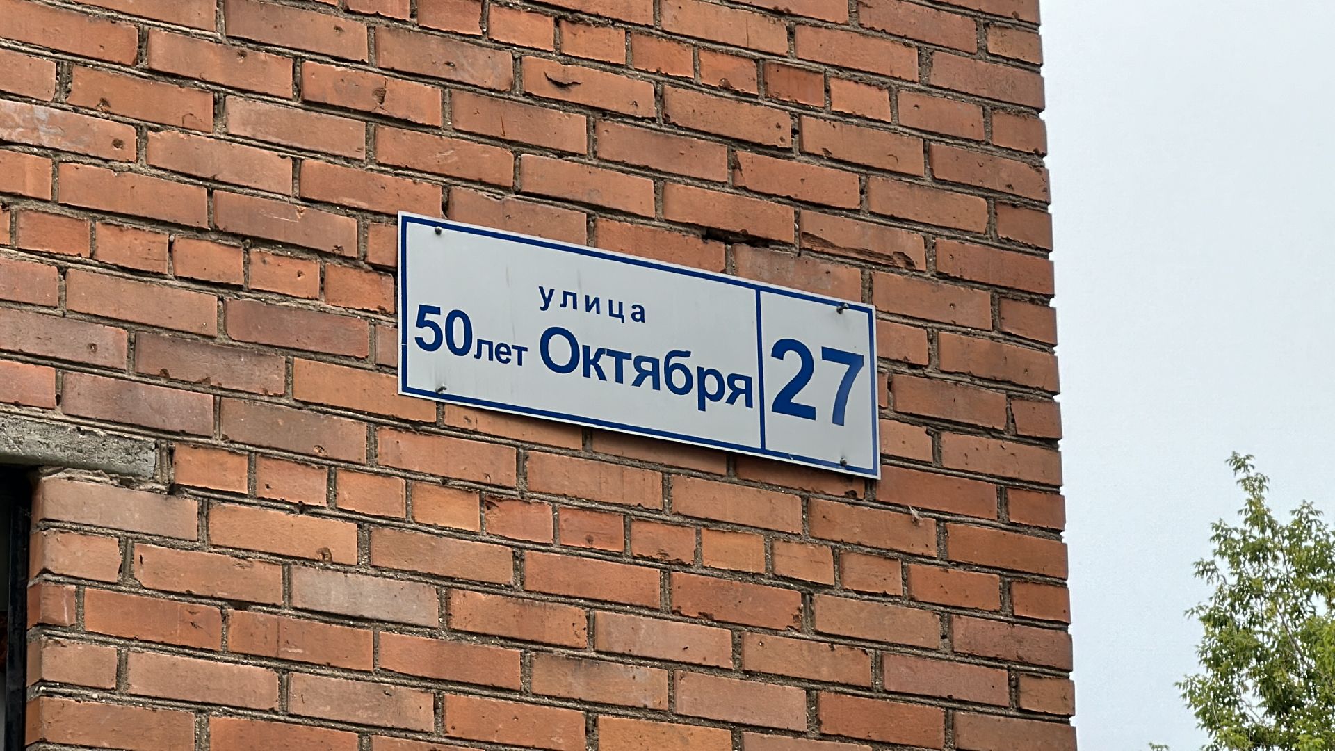 Клин, общество, животные, помощь, спасатели,