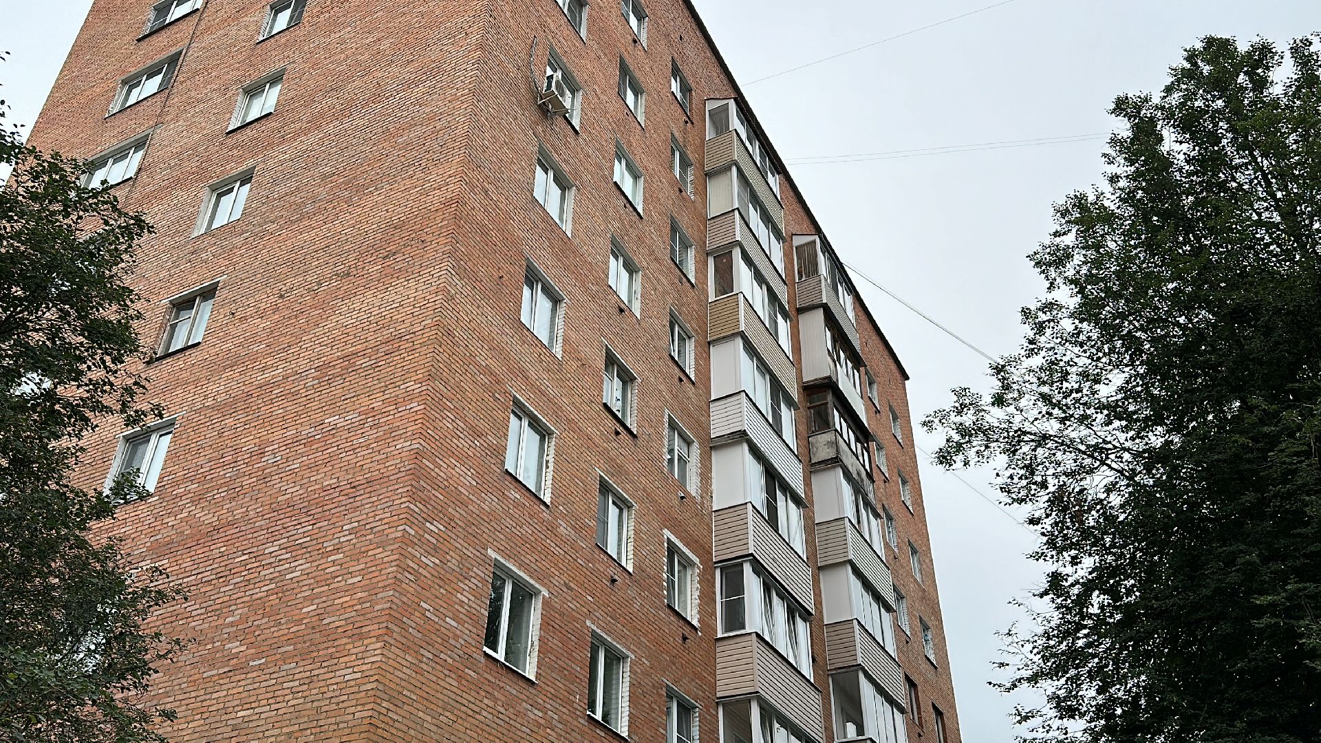 Клин, общество, животные, помощь, спасатели,