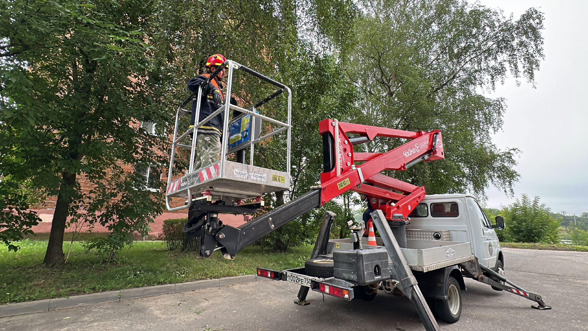 Клин, общество, животные, помощь, спасатели,