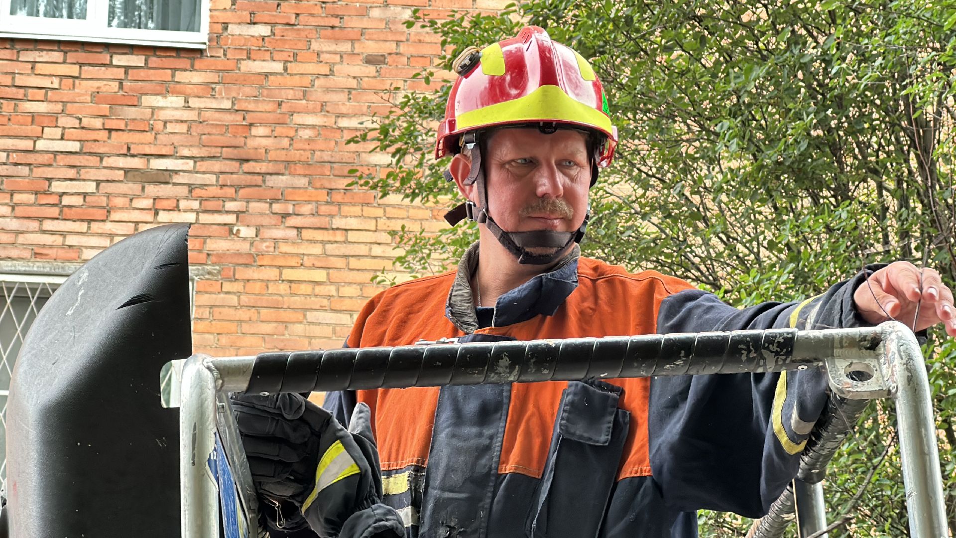 Клин, общество, животные, помощь, спасатели,