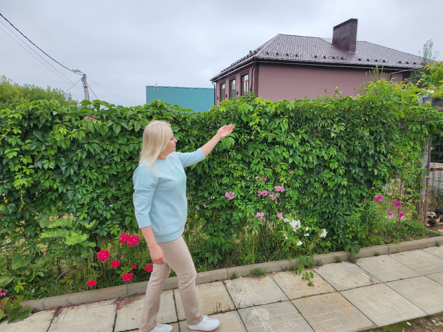 Чехов, село Новый быт, школа, учитель биологии, Вера Чепухалина, региональный конкурс, лауреат, победители, премия губернатора Московской области,