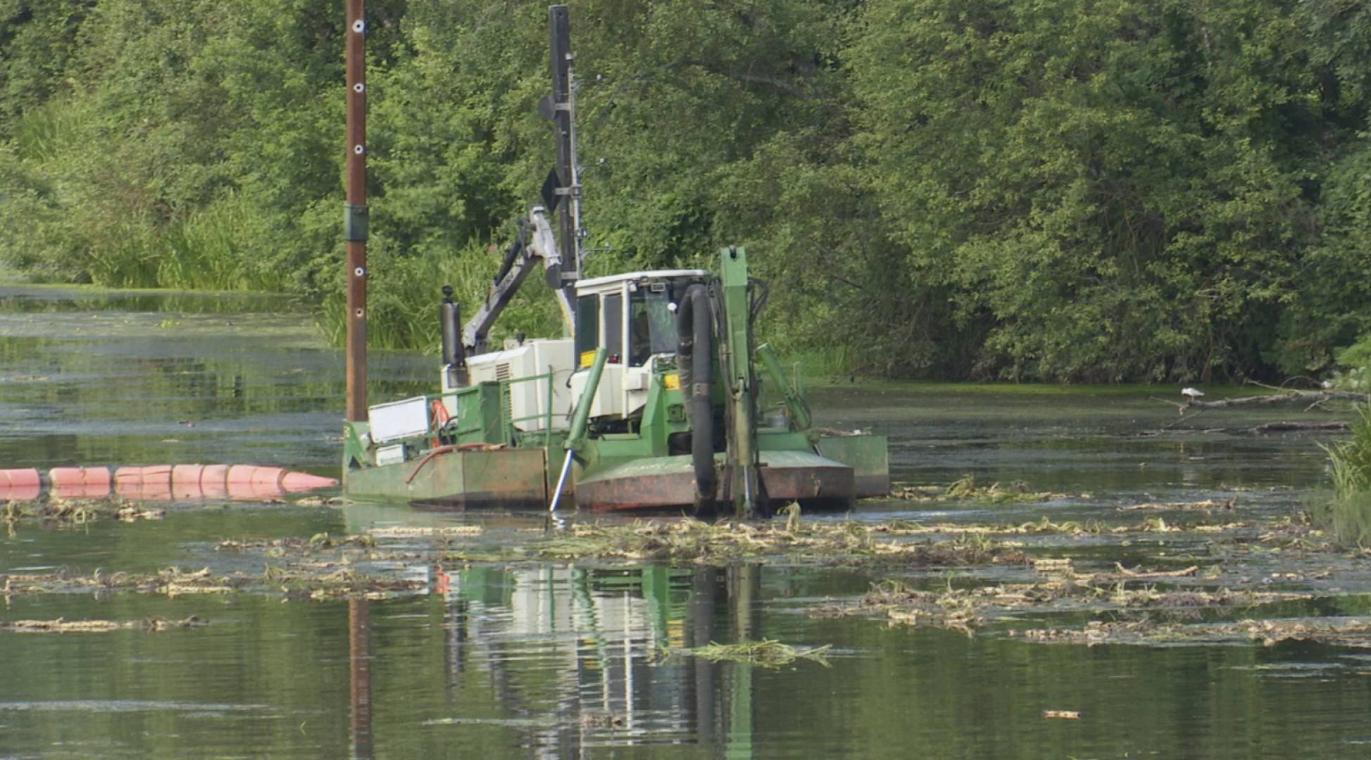 Клин, общество, экология, реки, очистка реки, Подмосковье,