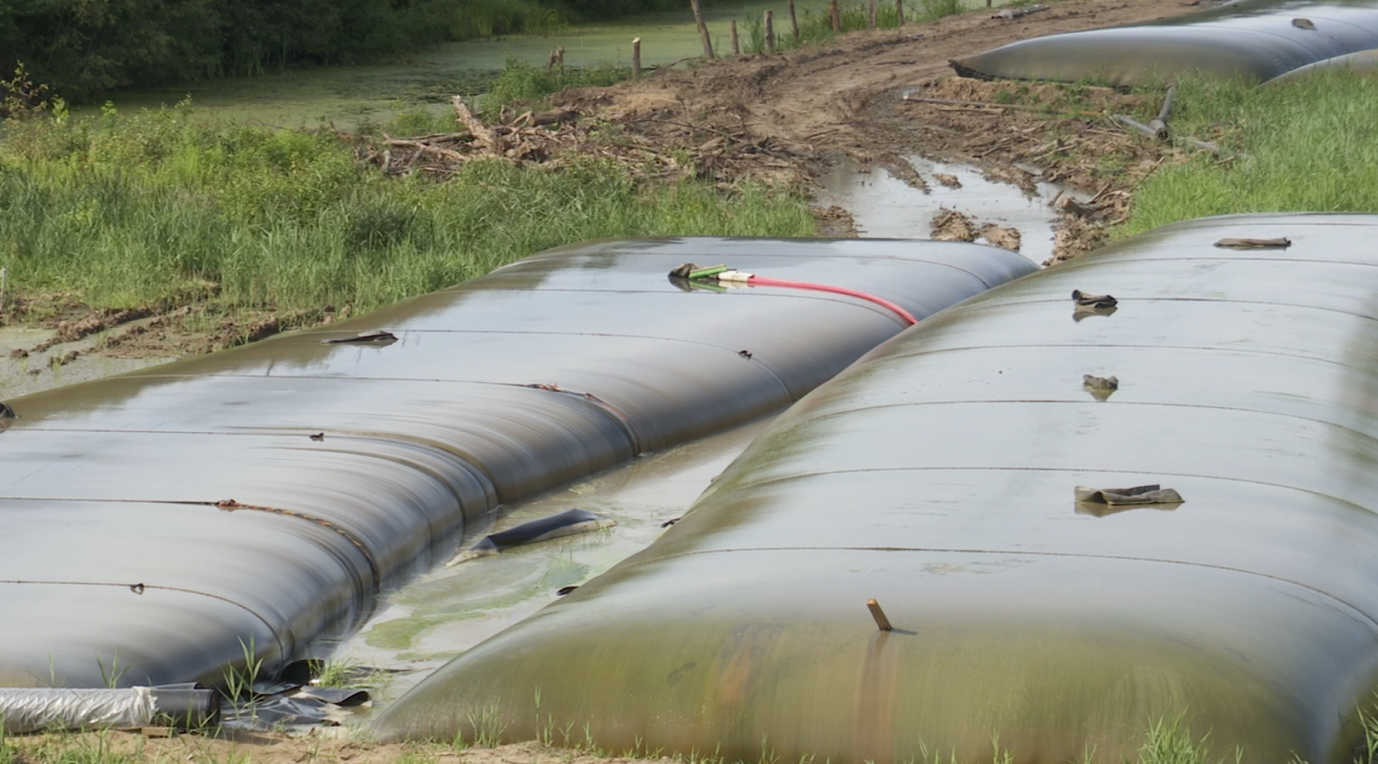 Клин, общество, экология, реки, очистка реки, Подмосковье,