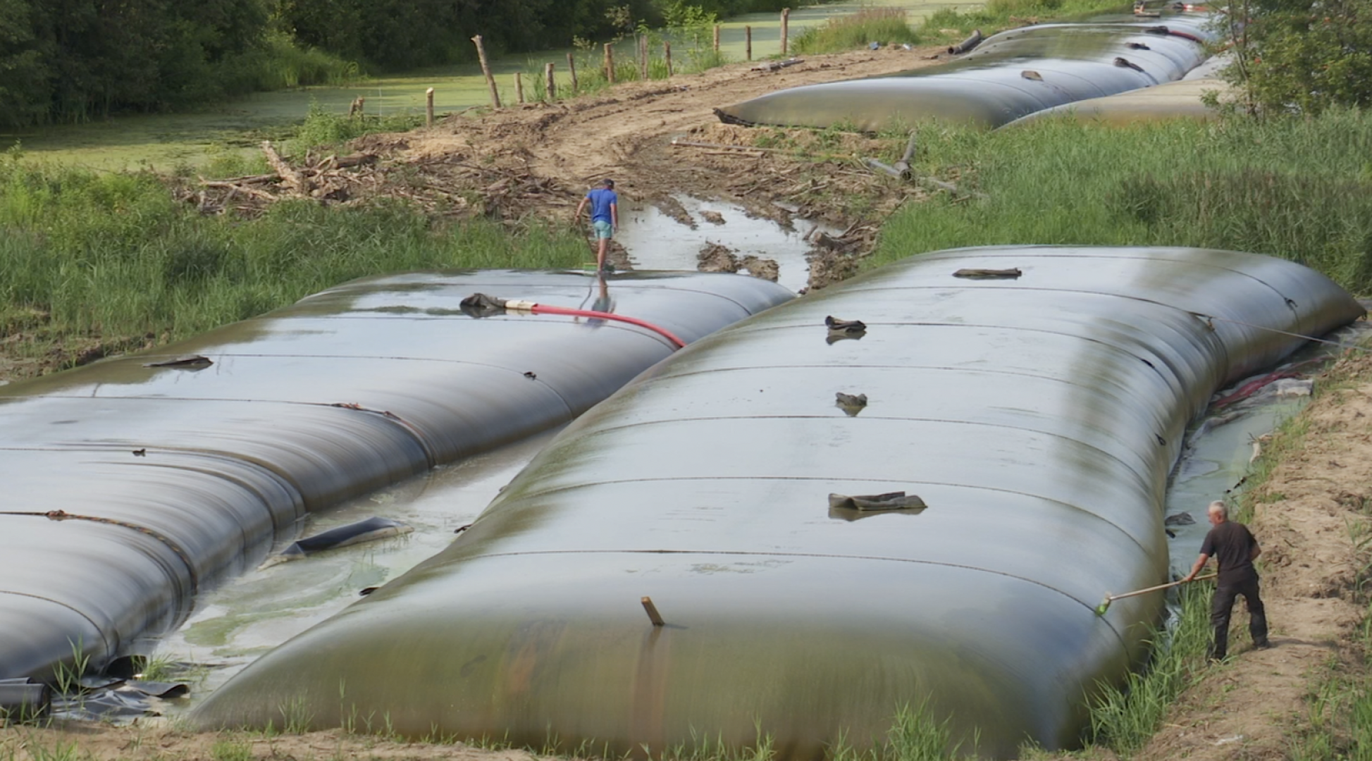 Клин, общество, экология, реки, очистка реки, Подмосковье,