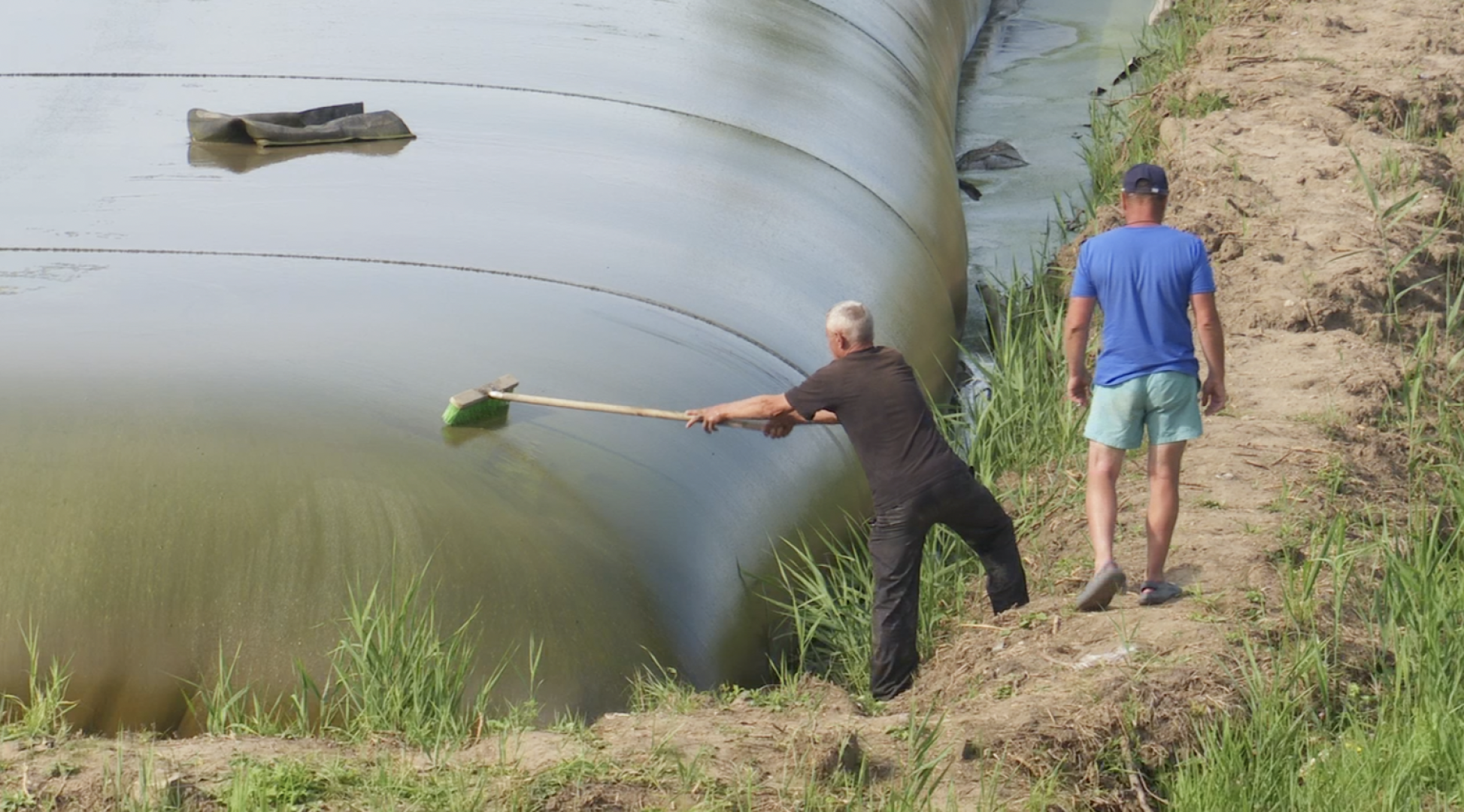 Клин, общество, экология, реки, очистка реки, Подмосковье,