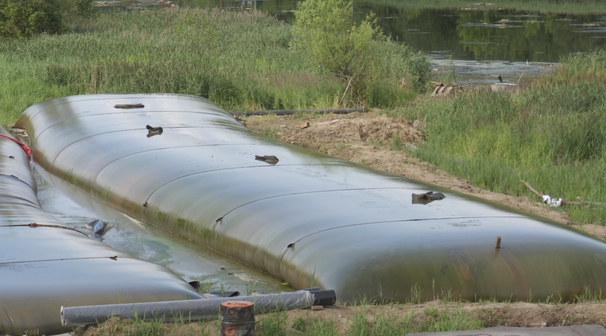 Клин, общество, экология, реки, очистка реки, Подмосковье,