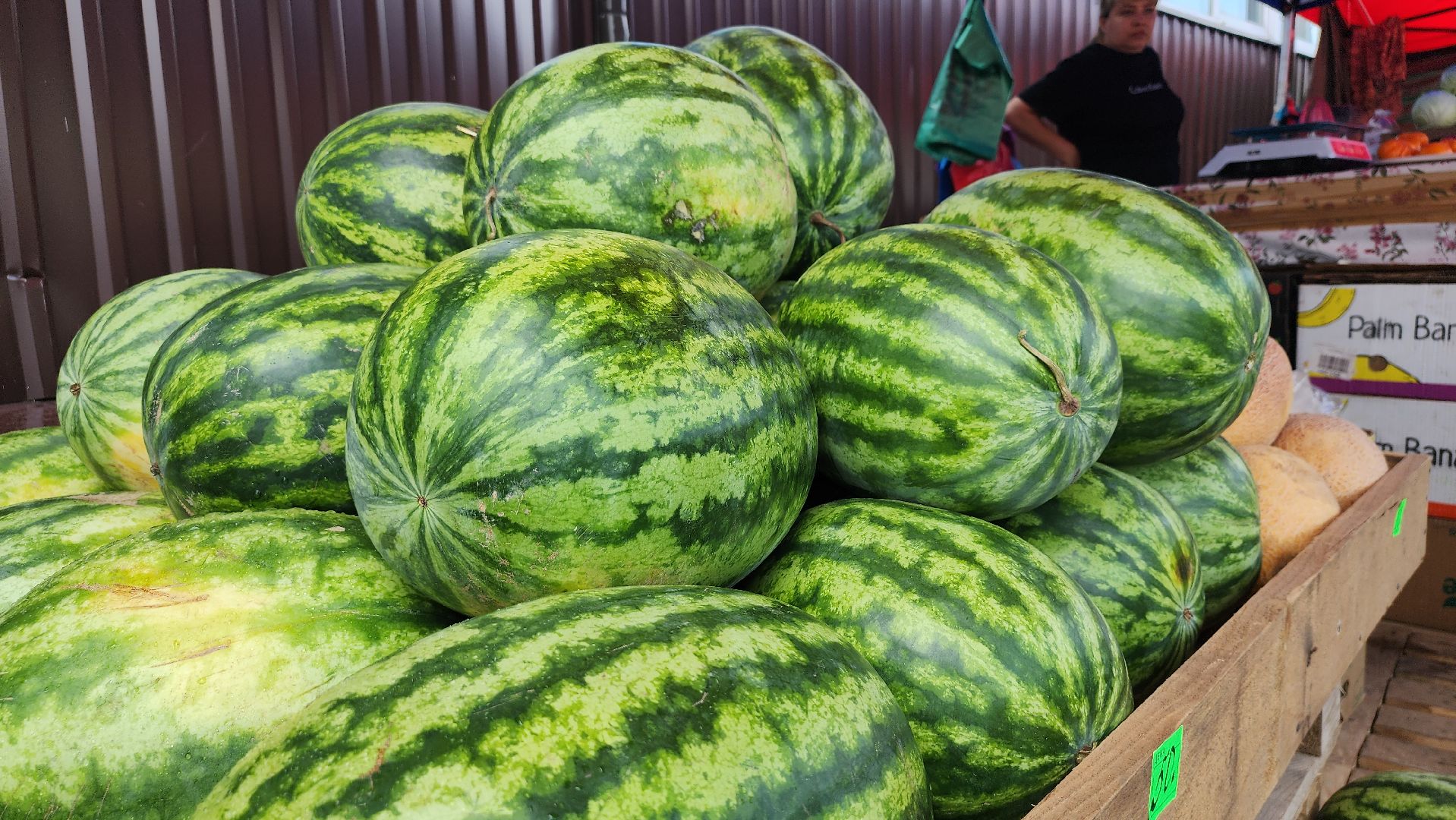 сезон арбузов, сезон бахчевых, арбузы, Ногинск, Богородский городской округ,