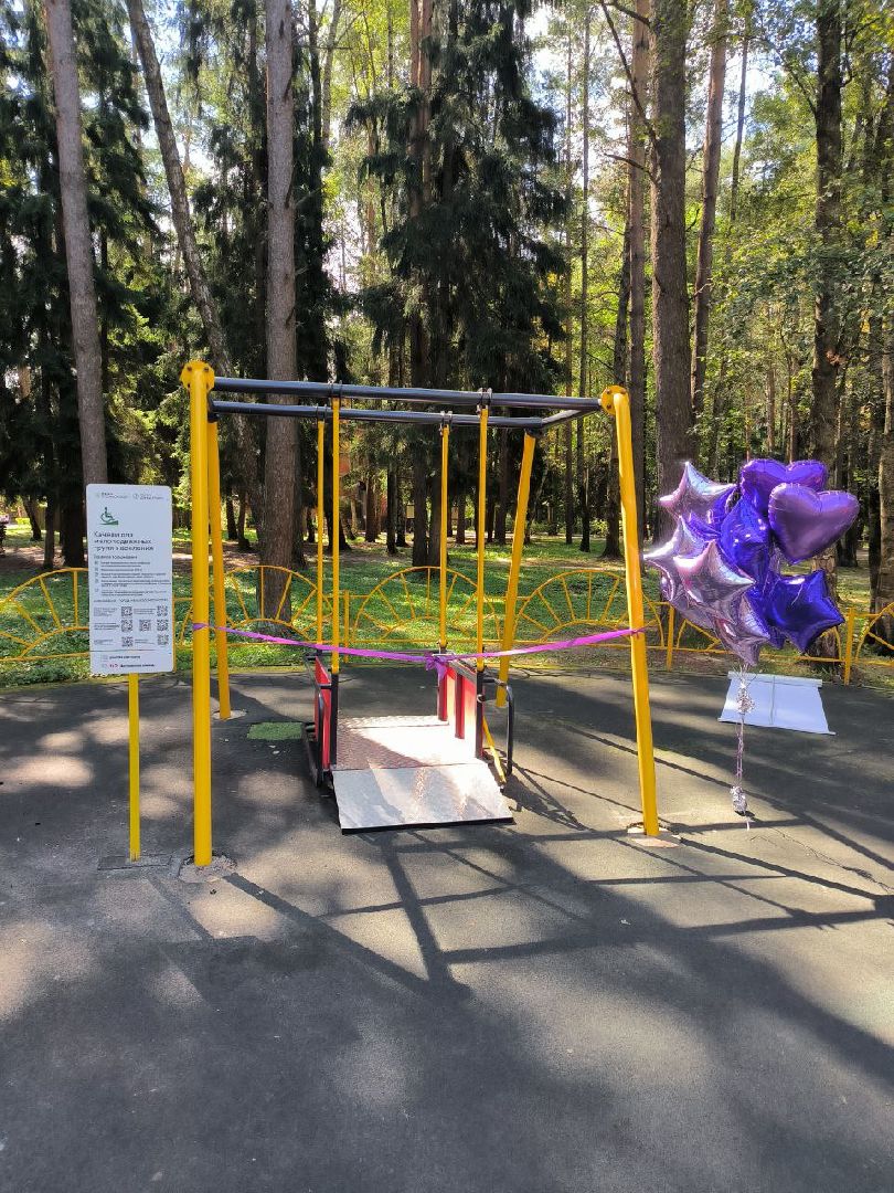 дети овз, малоподвижные дети, Подмосковье, Домодедово, социальная адаптация, Дети инвалиды, Качели, парк Елочки,