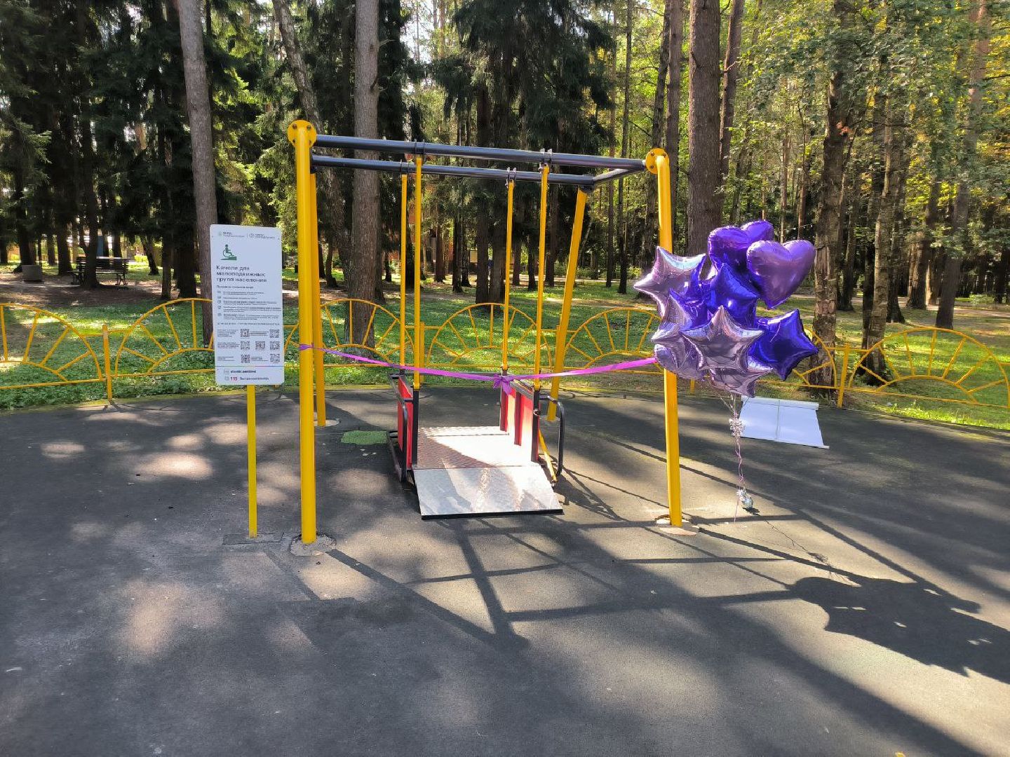 дети овз, малоподвижные дети, Подмосковье, Домодедово, социальная адаптация, Дети инвалиды, Качели, парк Елочки,