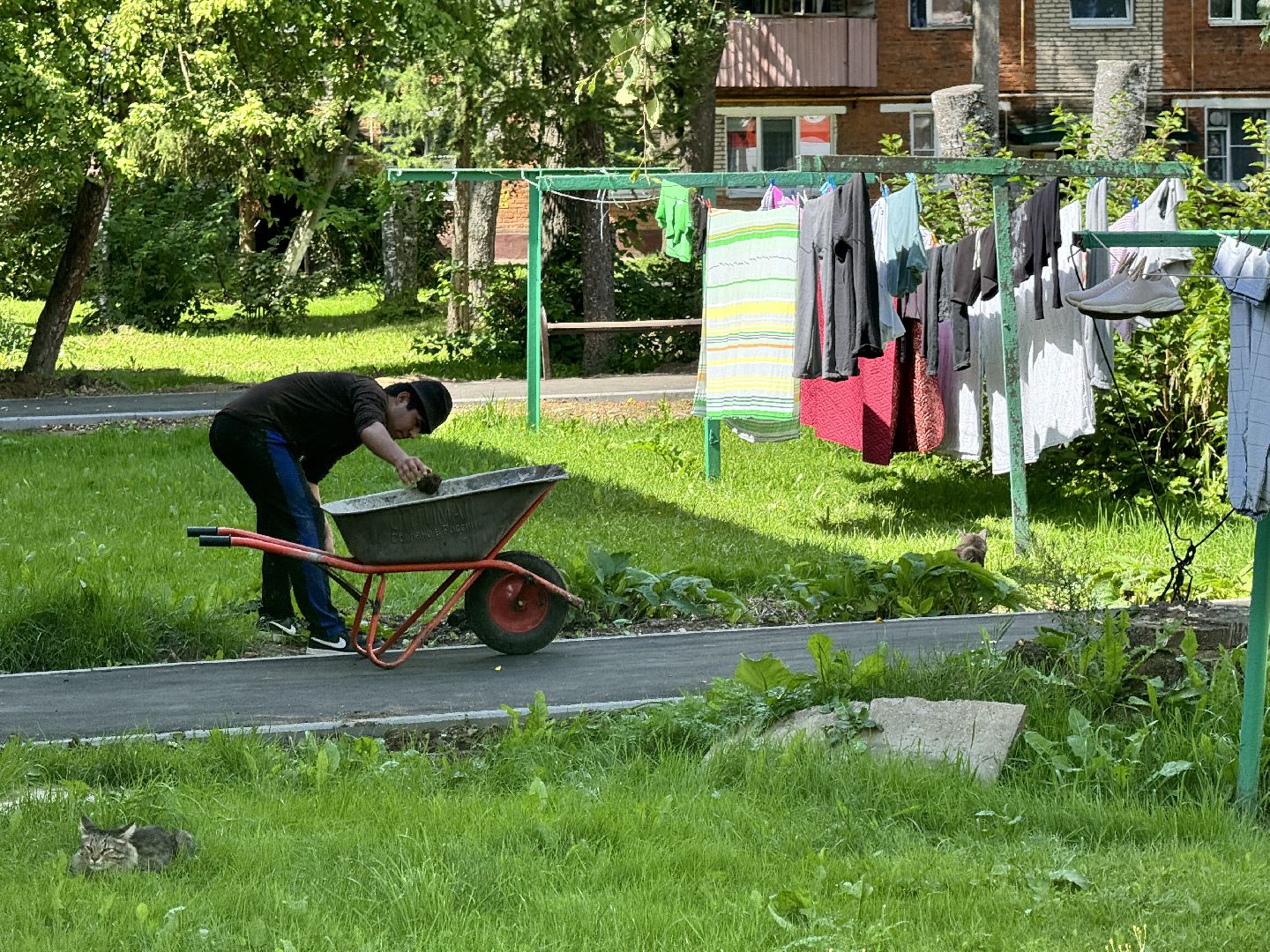 шаховская, благоустройство, благоустройство 2024,