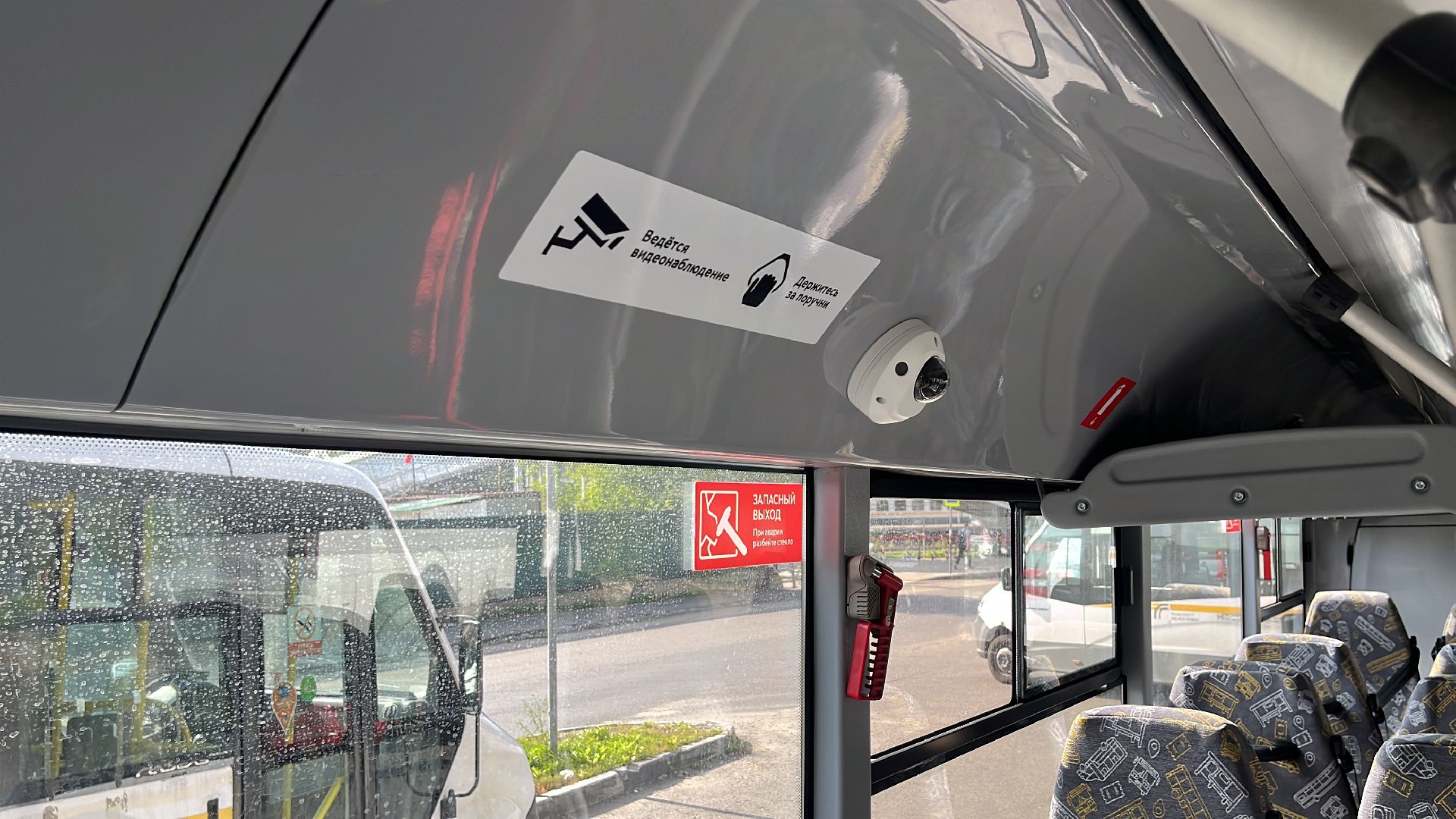 автобус, новый автобус, транспорт, общественный транспорт,