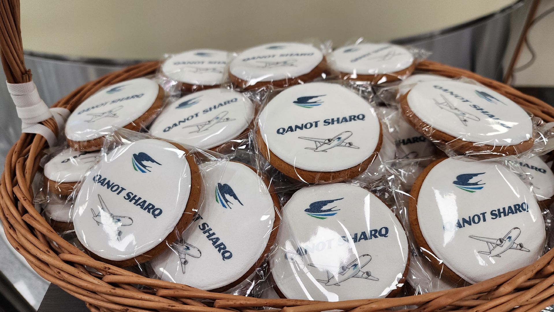 домодедово, Аэропорт Домодедово, Подмосковье, Самолет, Воздушная гавань, новые рейсы, терминал Т2, Узбекистан, Средняя азия, Авиапассажиры,