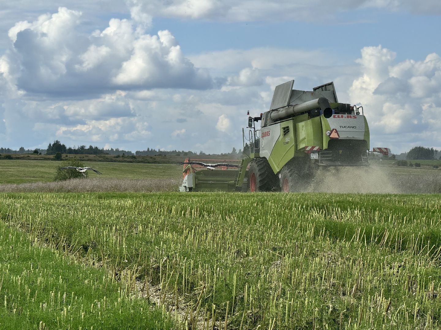 шаховская, уборка урожая, уборка полей,