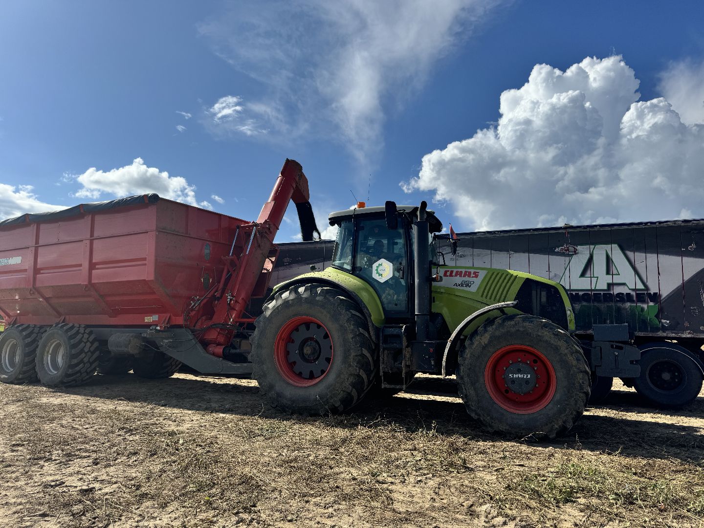 шаховская, уборка урожая, уборка полей,