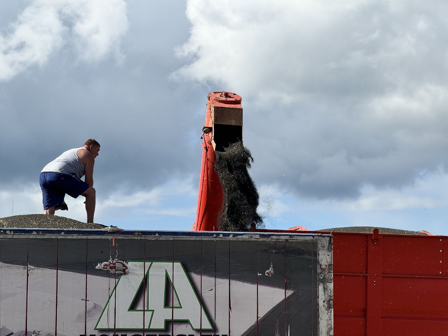 шаховская, уборка урожая, уборка полей,