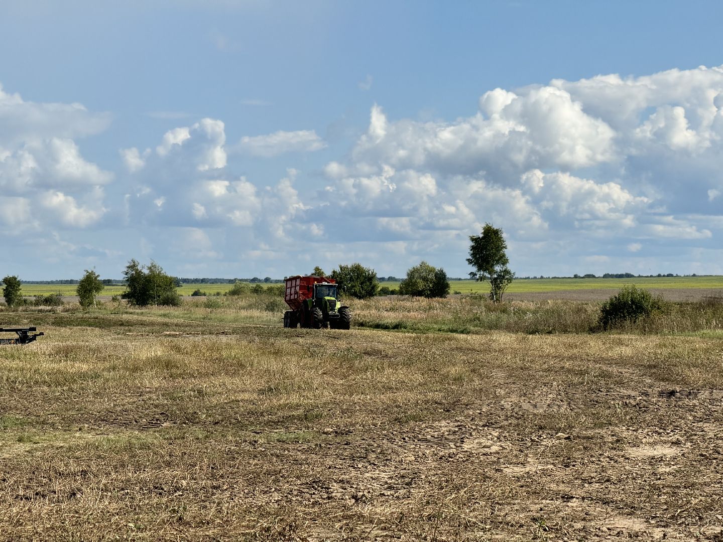 шаховская, уборка урожая, уборка полей,