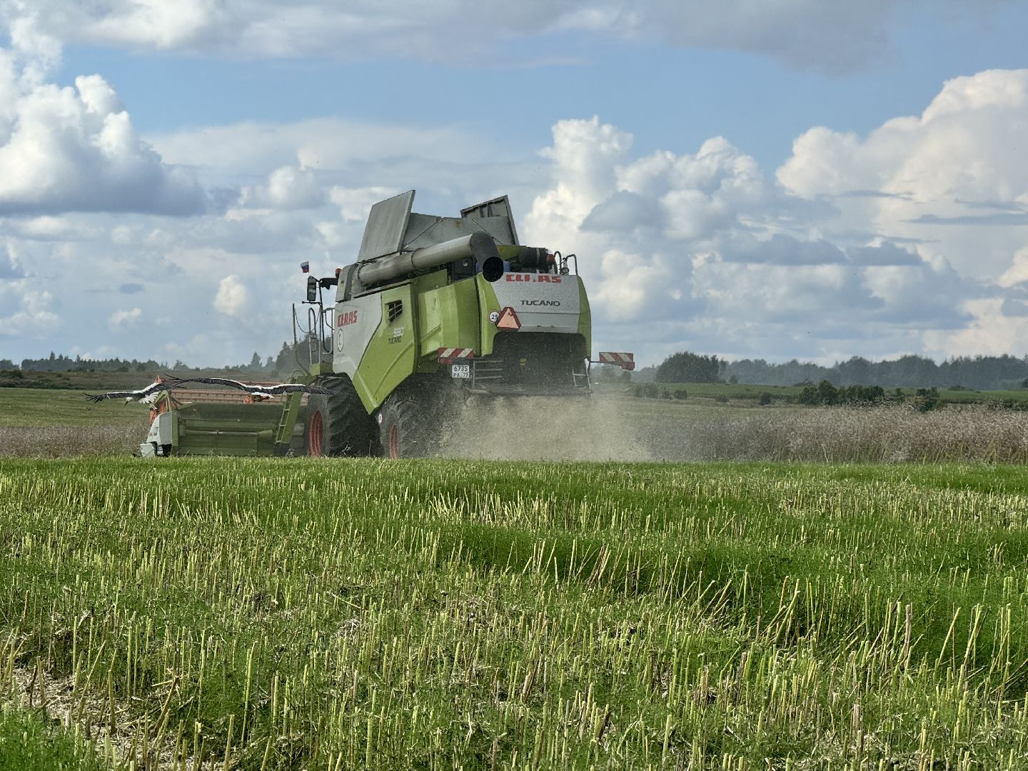 шаховская, уборка урожая, уборка полей,