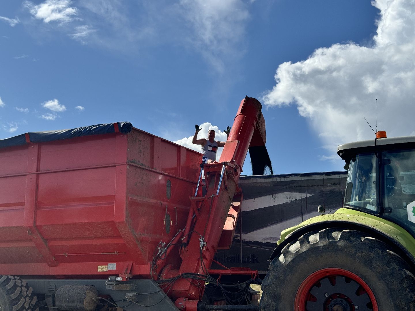 шаховская, уборка урожая, уборка полей,