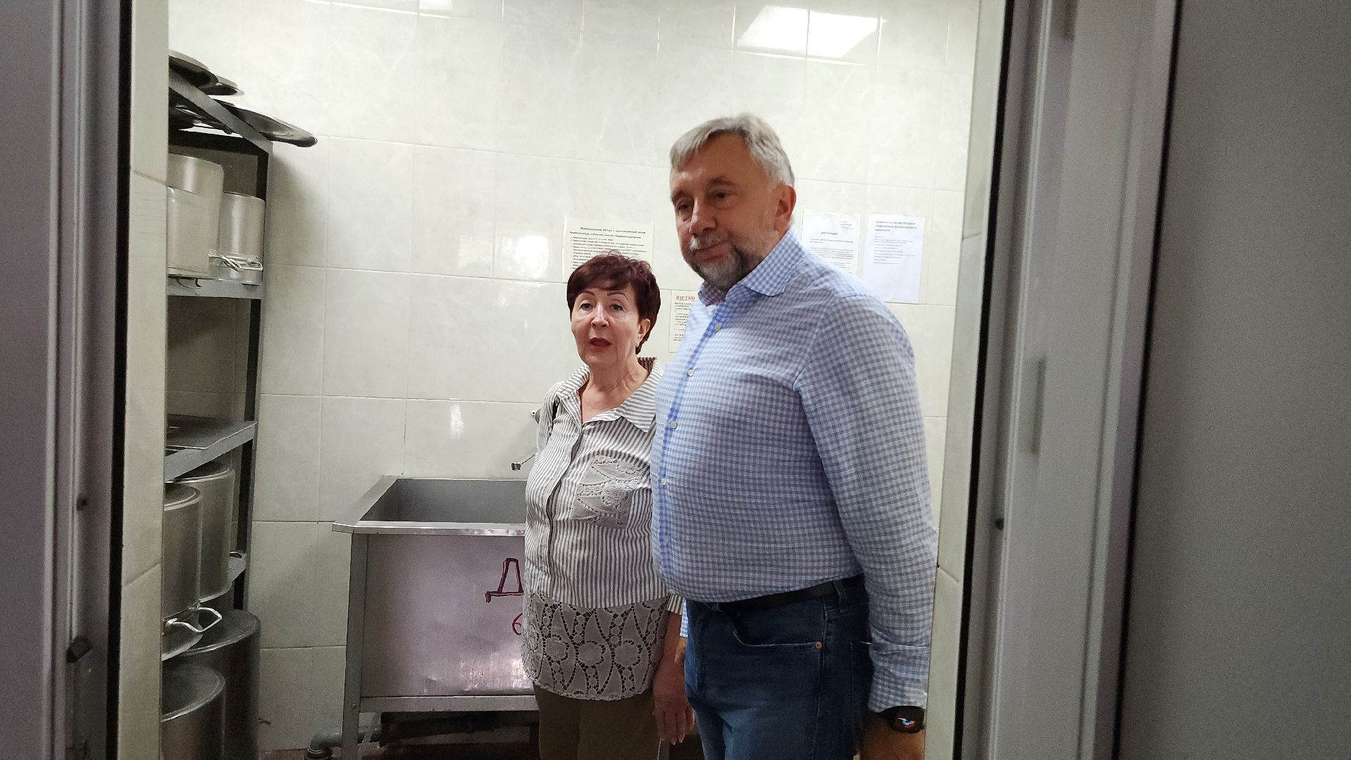 Приемка школ, Домодедово, Подмосковье, образование,