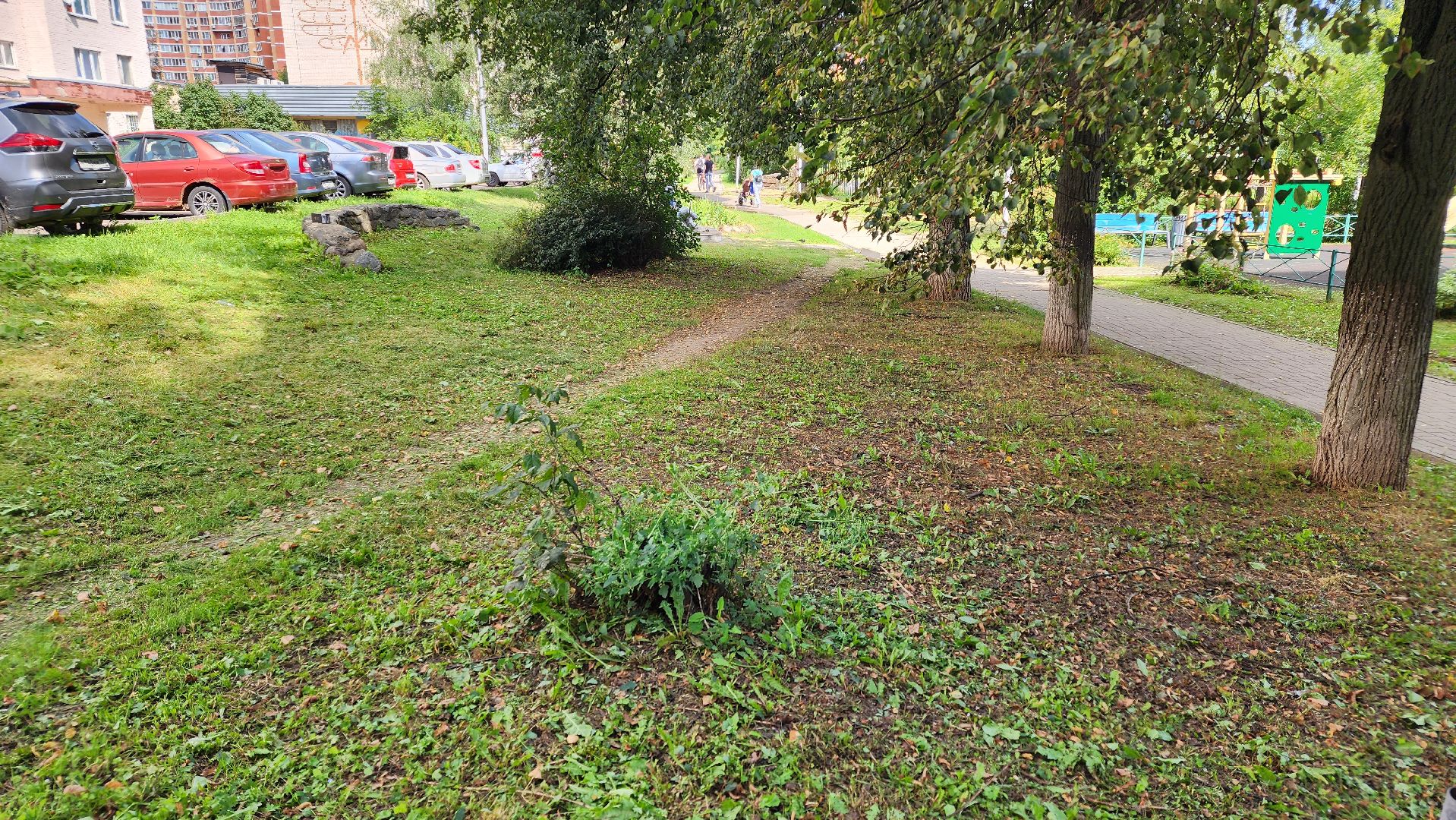 Благоустройство, Уборка, Истра, подмосковье,