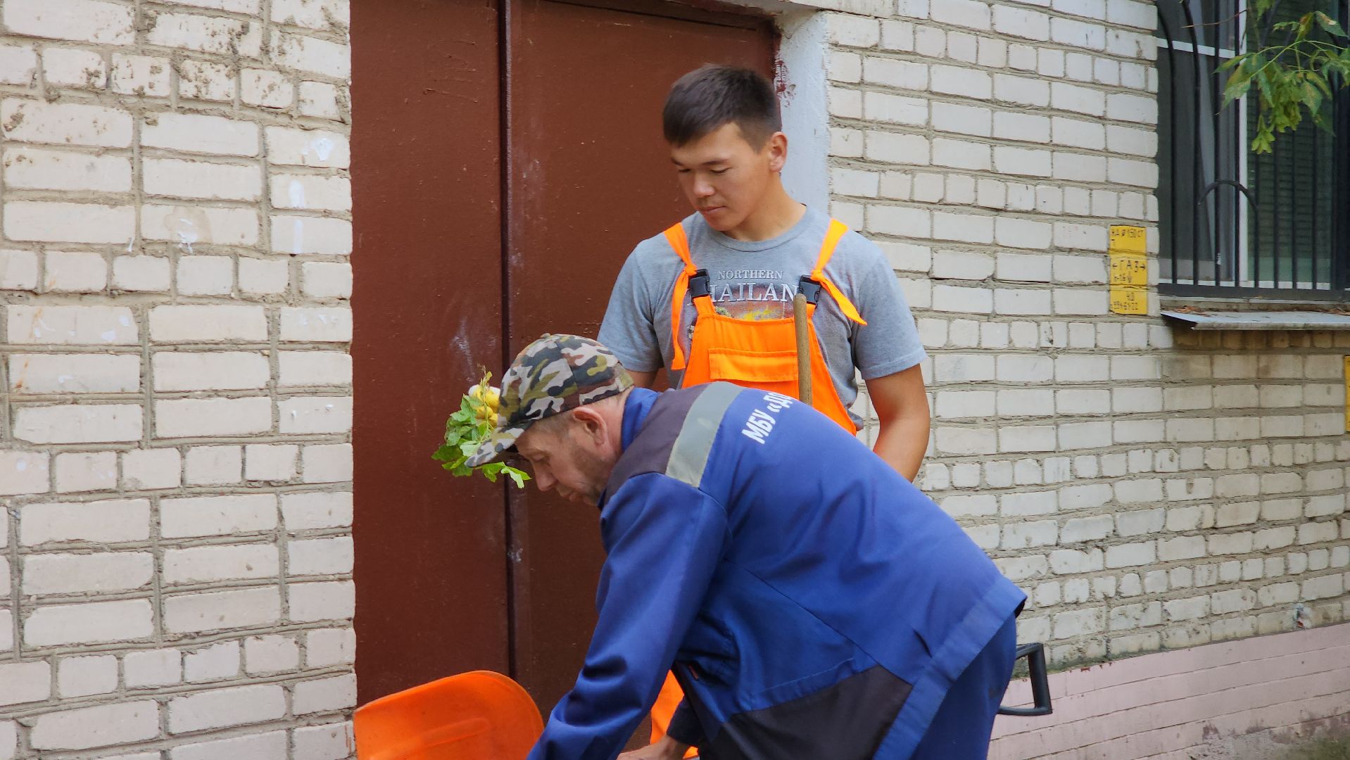 Благоустройство, Уборка, Истра, подмосковье,