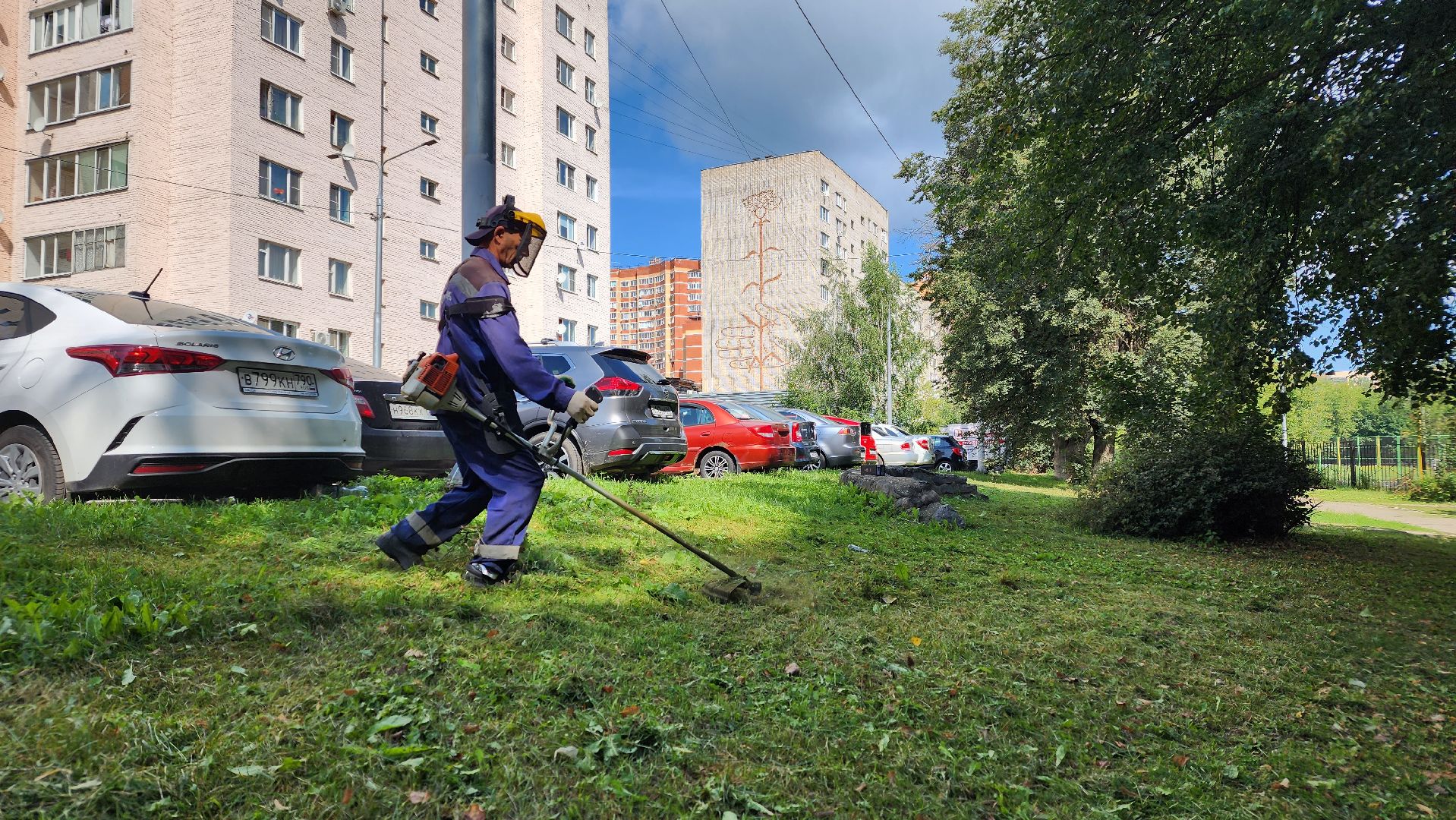 Благоустройство, Уборка, Истра, подмосковье,