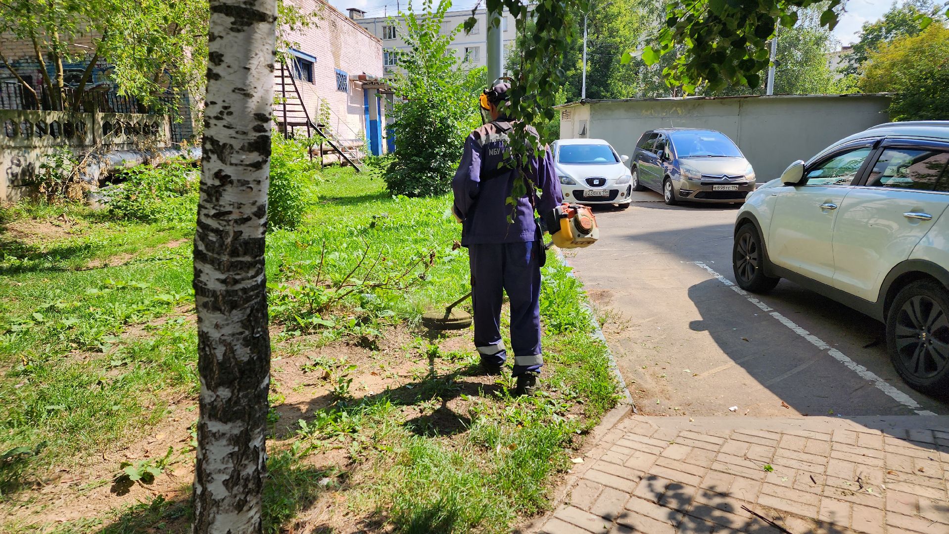 Благоустройство, Уборка, Истра, подмосковье,