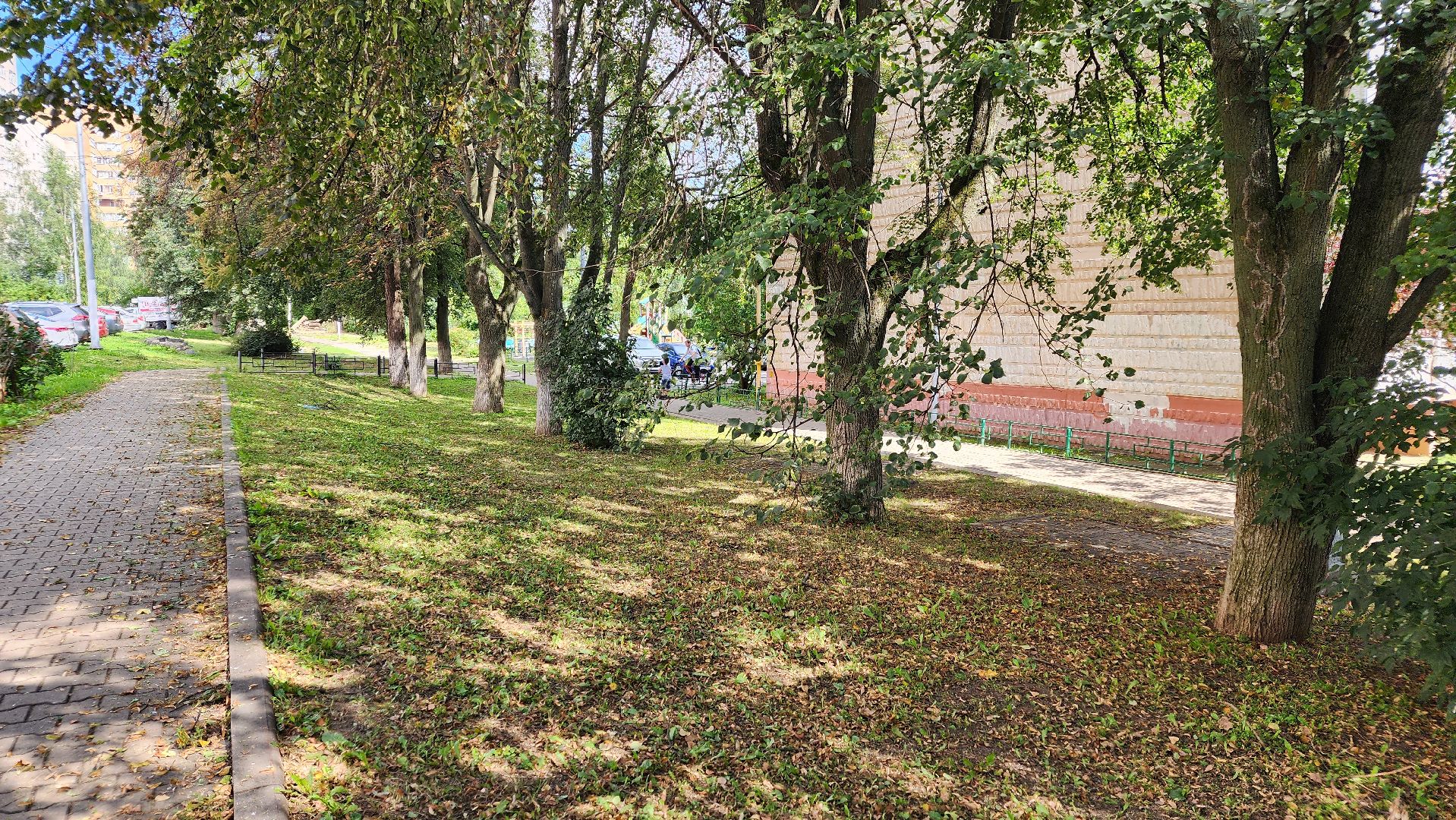 Благоустройство, Уборка, Истра, подмосковье,