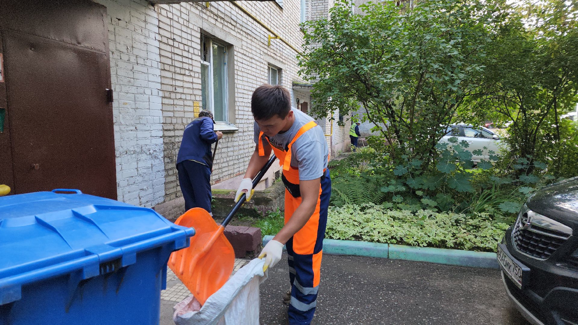 Благоустройство, Уборка, Истра, подмосковье,