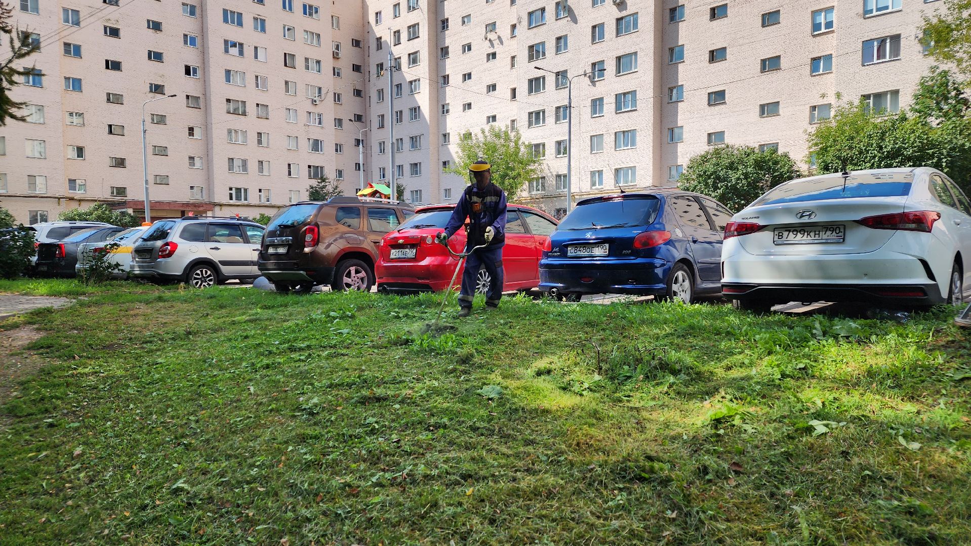 Благоустройство, Уборка, Истра, подмосковье,