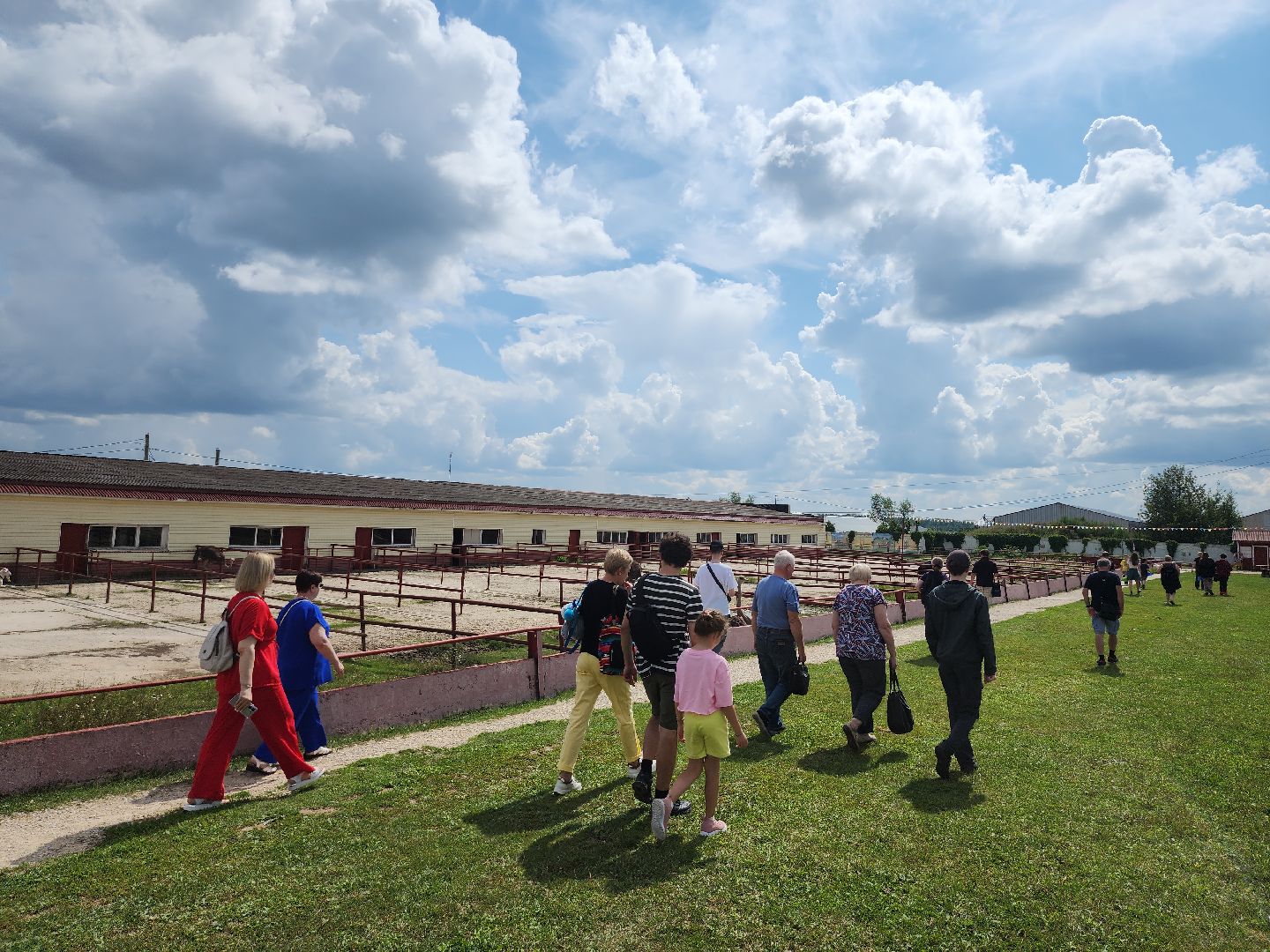 серпухов, подмосковье, русский страус,