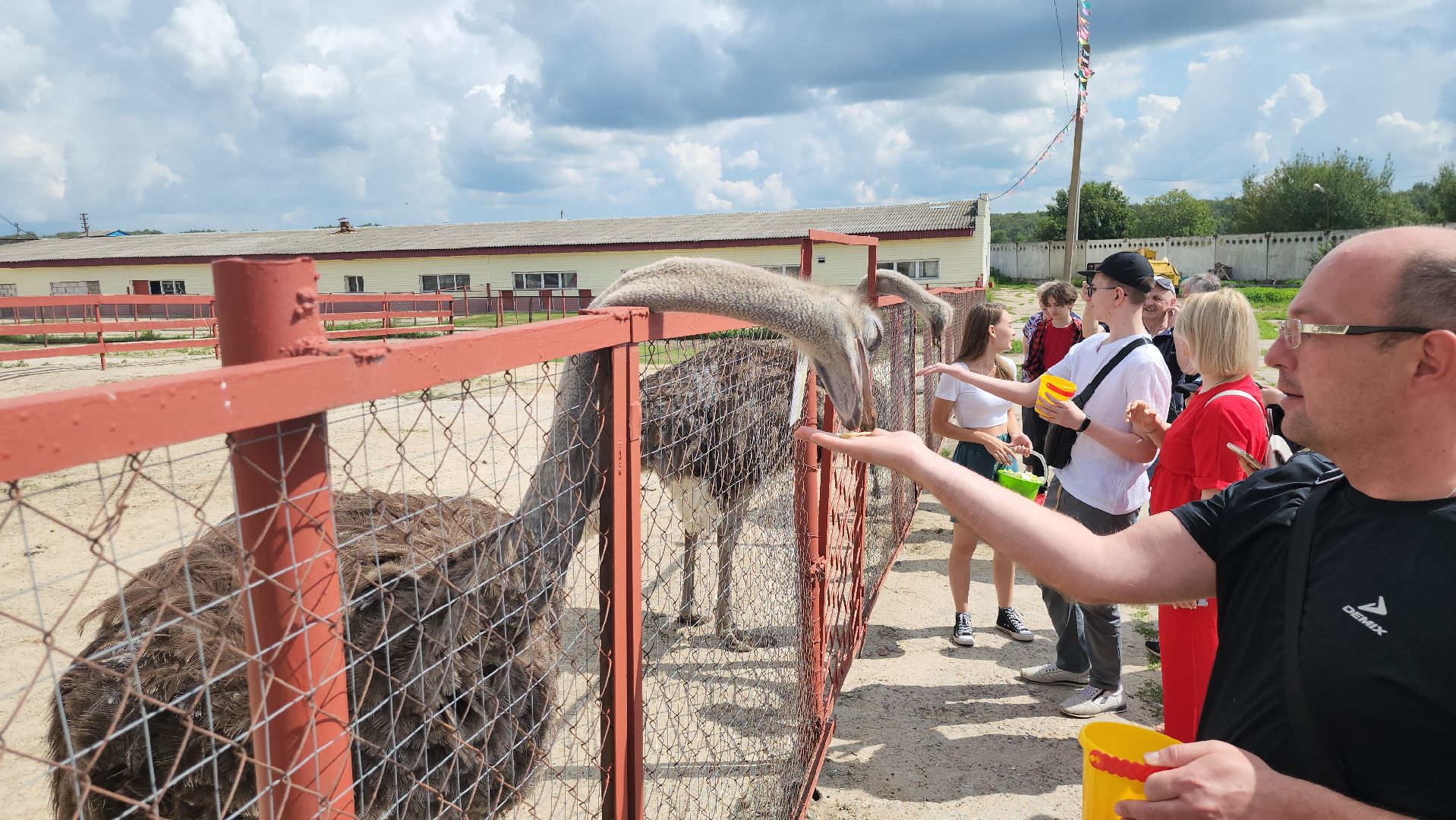 серпухов, подмосковье, русский страус,