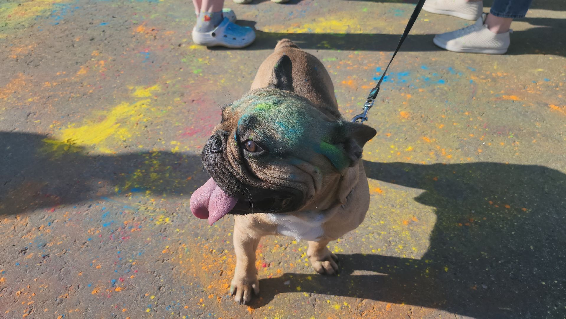 долгопрудный, центральный парк, пенное шоу, краски холи, дети,