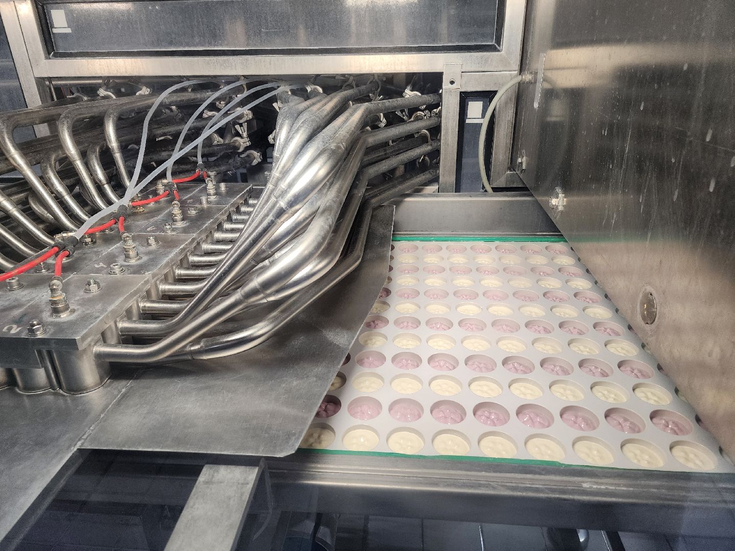 Чехов, поселок Любучаны, молочный завод, молочное производство, импортозамещение, локализация, международные бренды, молочные продукты, компания Health and Nutrition,