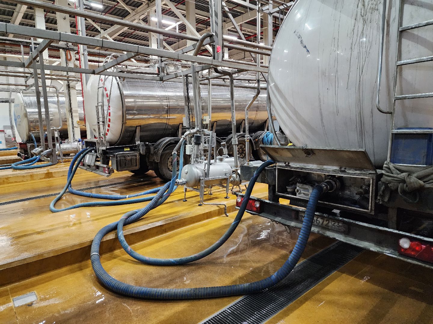 Чехов, поселок Любучаны, молочный завод, молочное производство, импортозамещение, локализация, международные бренды, молочные продукты, компания Health and Nutrition,