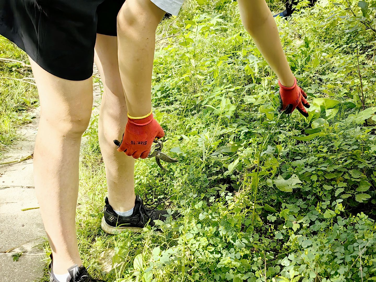 бригада, трудовое лето, благоустровйство, цветники, полив, звездный городок,