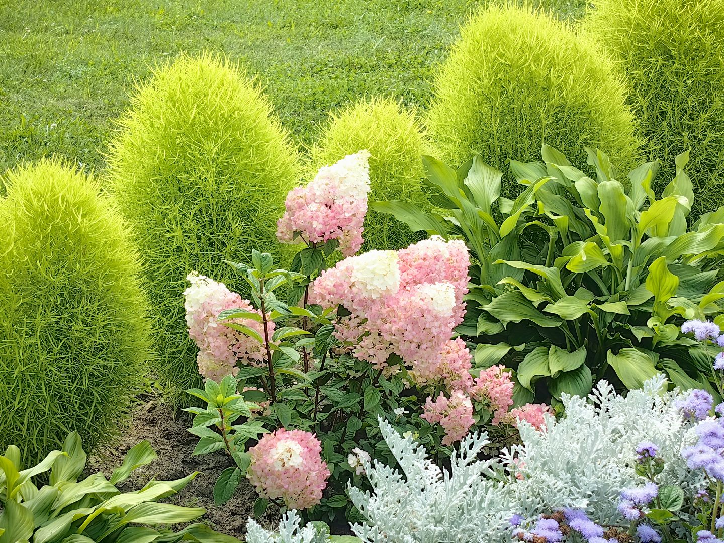 бригада, трудовое лето, благоустровйство, цветники, полив, звездный городок,