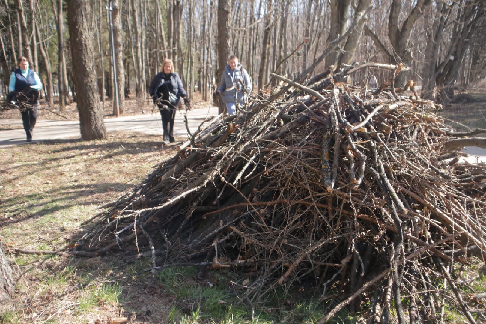 Пущино, благоустройство, субботник, месячник благоустройства,