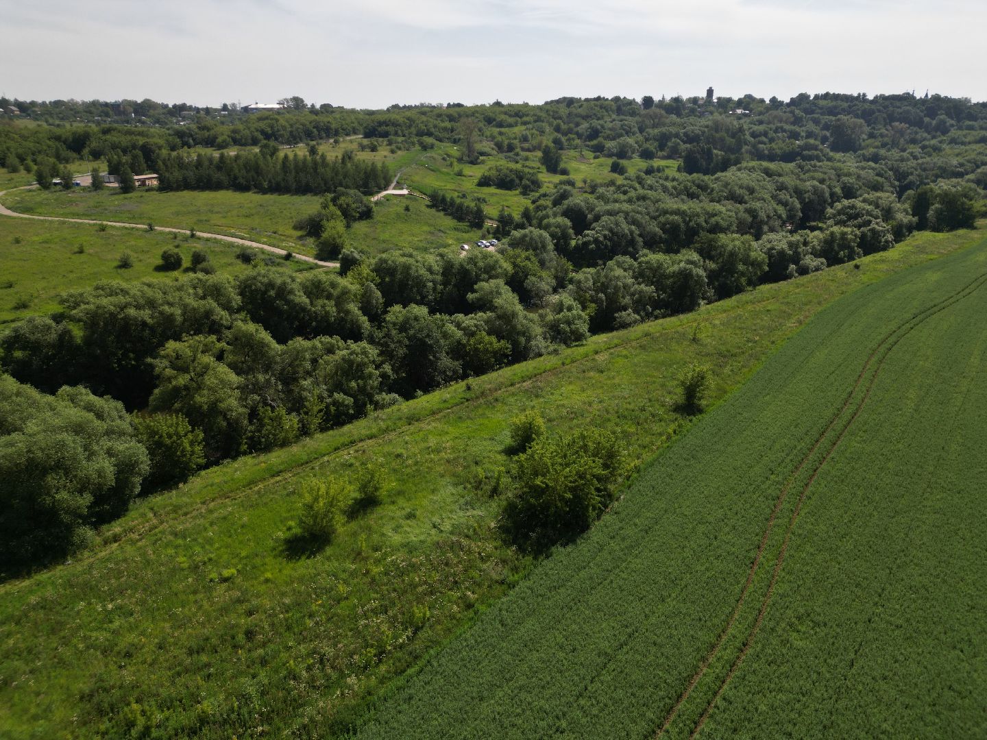 видео с коптера, источник, зарайск,