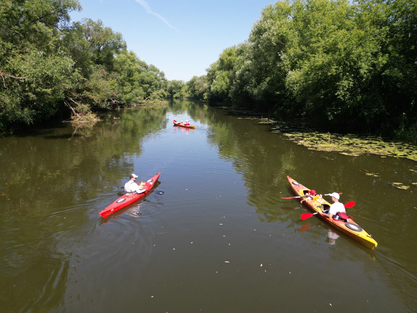видео с коптера, источник, зарайск,